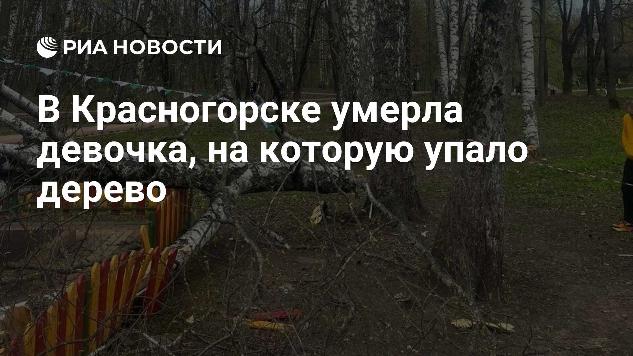 В Красногорске умерла девочка, на которую упало дерево - РИА Новости,  23.04.2024