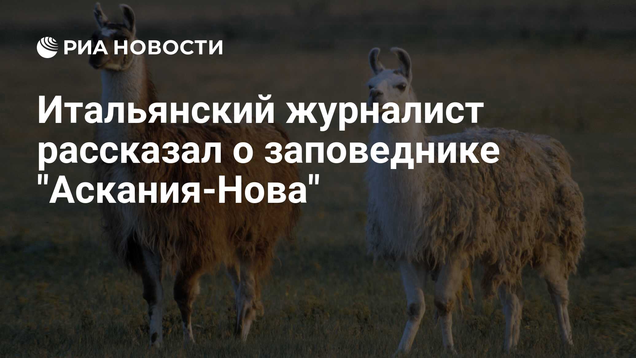 Итальянский журналист рассказал о заповеднике 