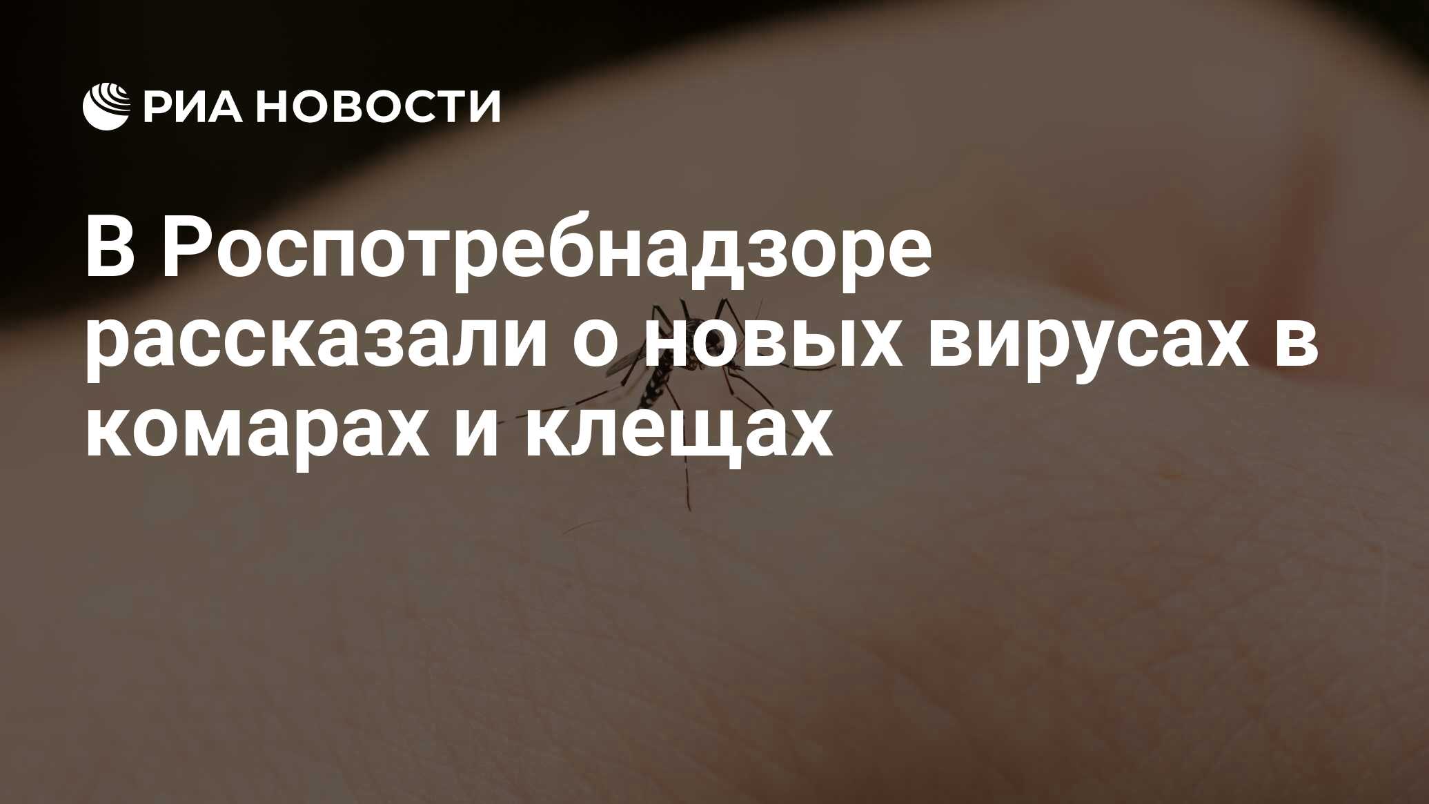 В Роспотребнадзоре рассказали о новых вирусах в комарах и клещах - РИА  Новости, 24.04.2024