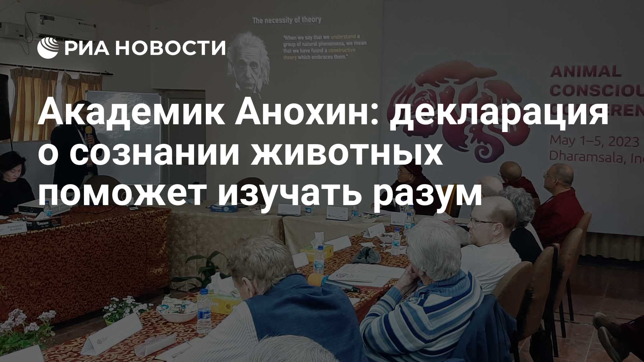 Академик Анохин: декларация о сознании животных поможет изучать разум - РИА  Новости, 25.04.2024