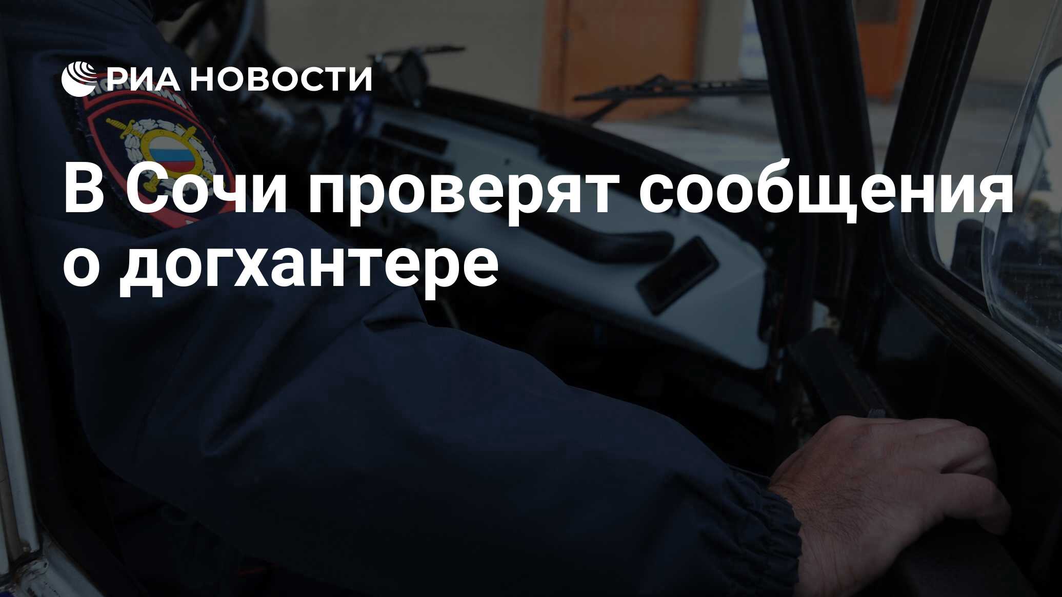 В Сочи проверят сообщения о догхантере