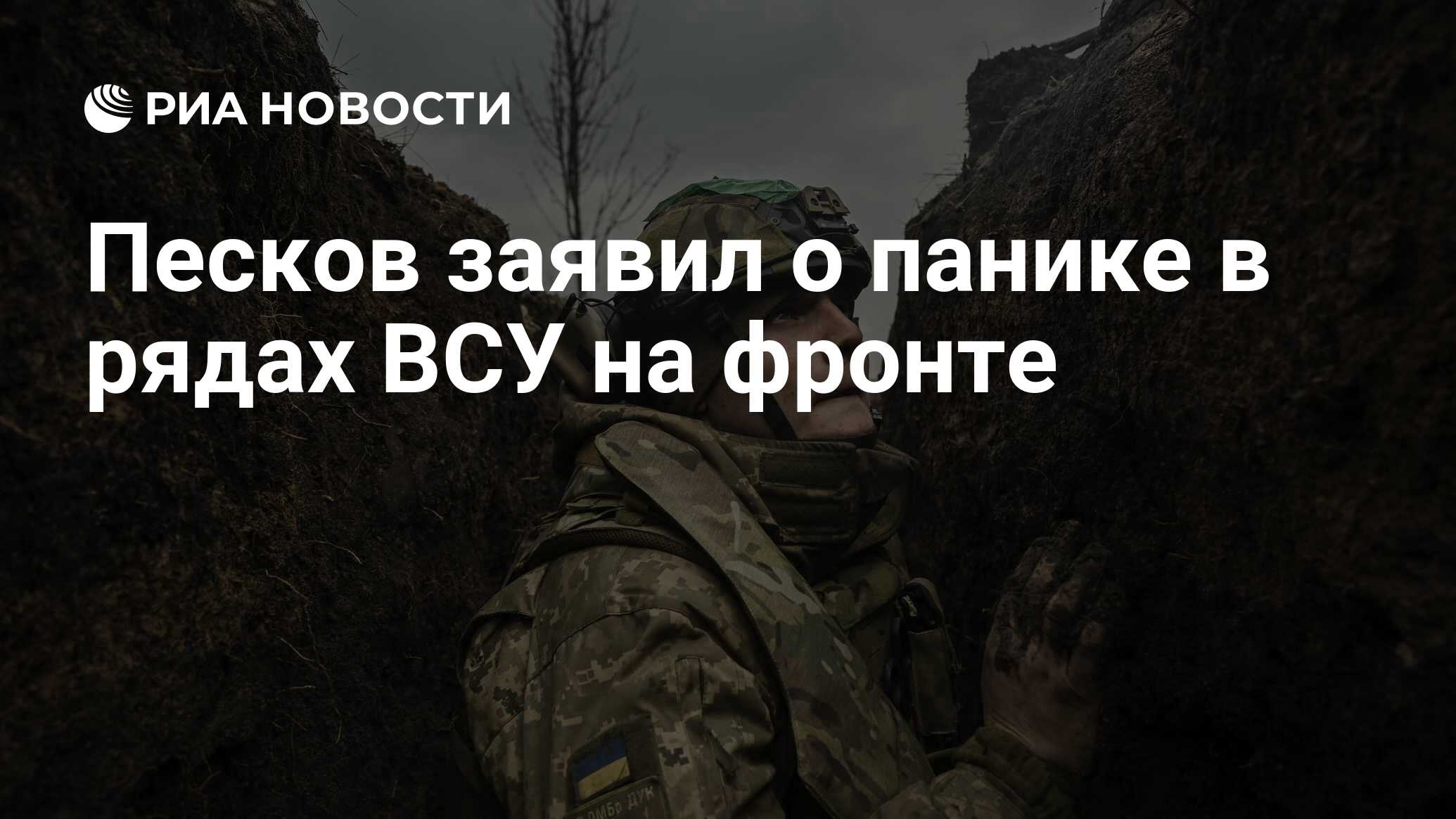 Песков заявил о панике в рядах ВСУ на фронте - РИА Новости, 28.04.2024