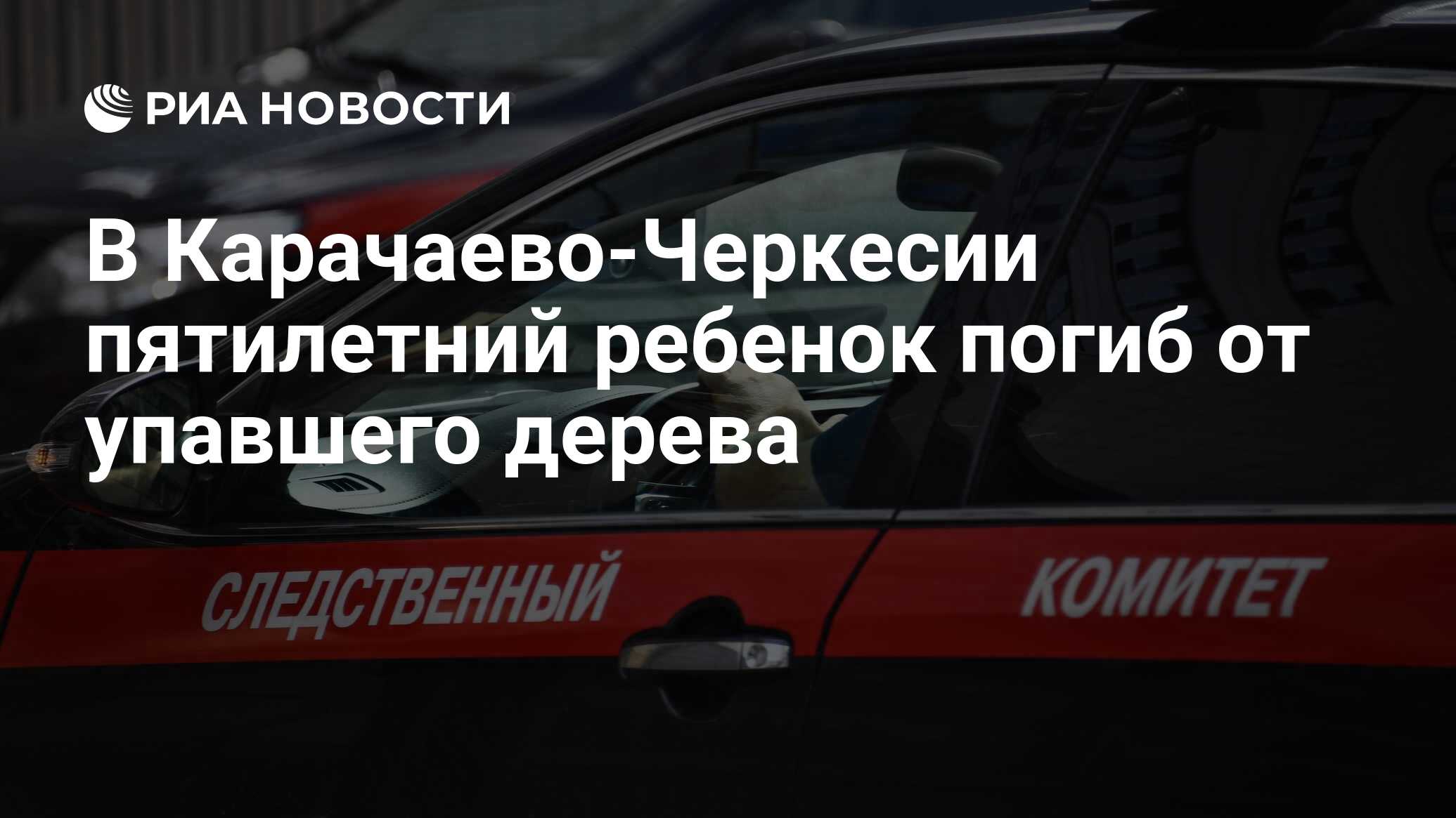 В Карачаево-Черкесии пятилетний ребенок погиб от упавшего дерева - РИА  Новости, 30.04.2024