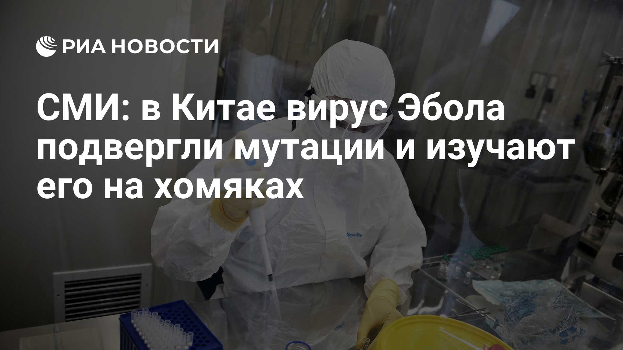 СМИ: в Китае вирус Эбола подвергли мутации и изучают его на хомяках - РИА  Новости, 06.05.2024