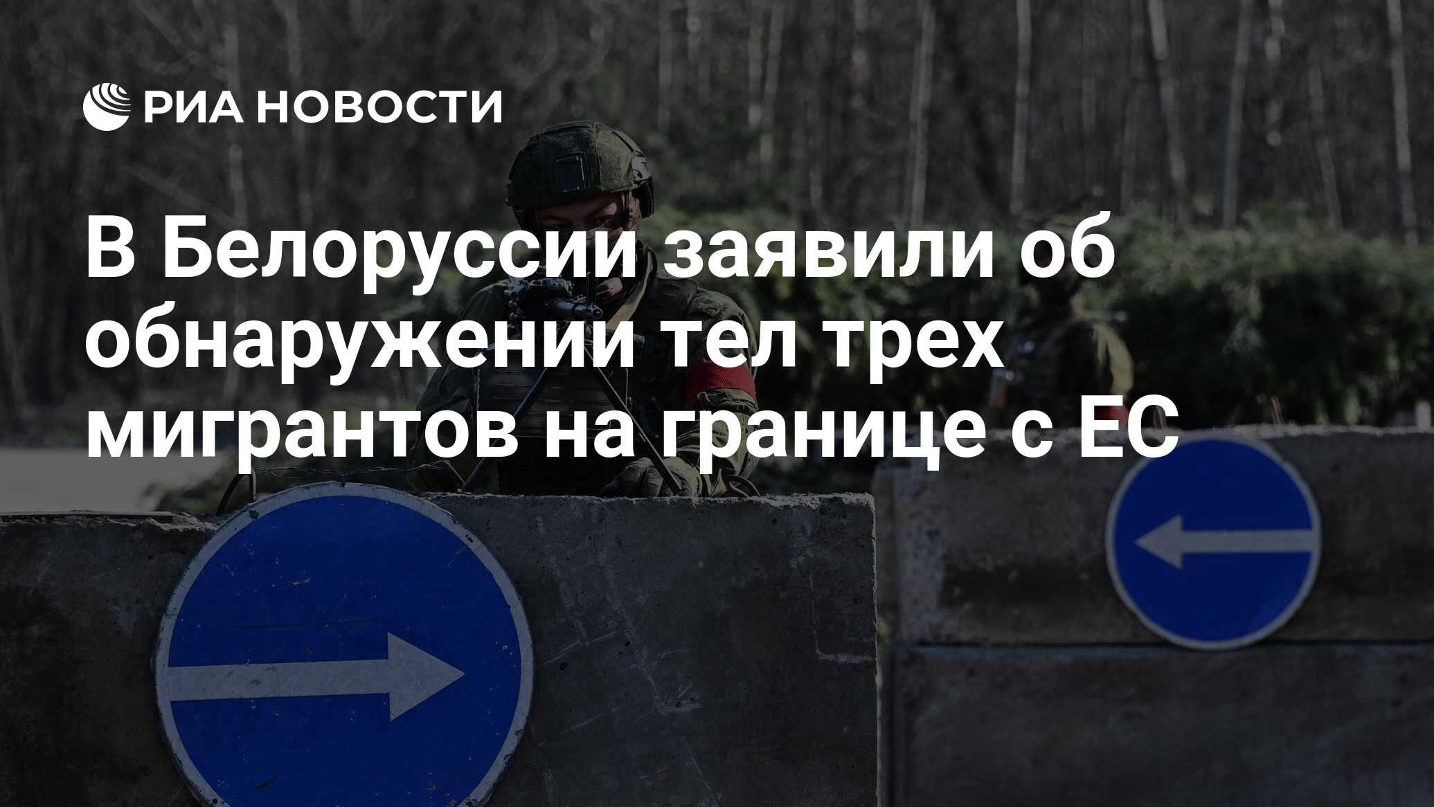 В Белоруссии заявили об обнаружении тел трех мигрантов на границе с ЕС -  РИА Новости, 07.05.2024