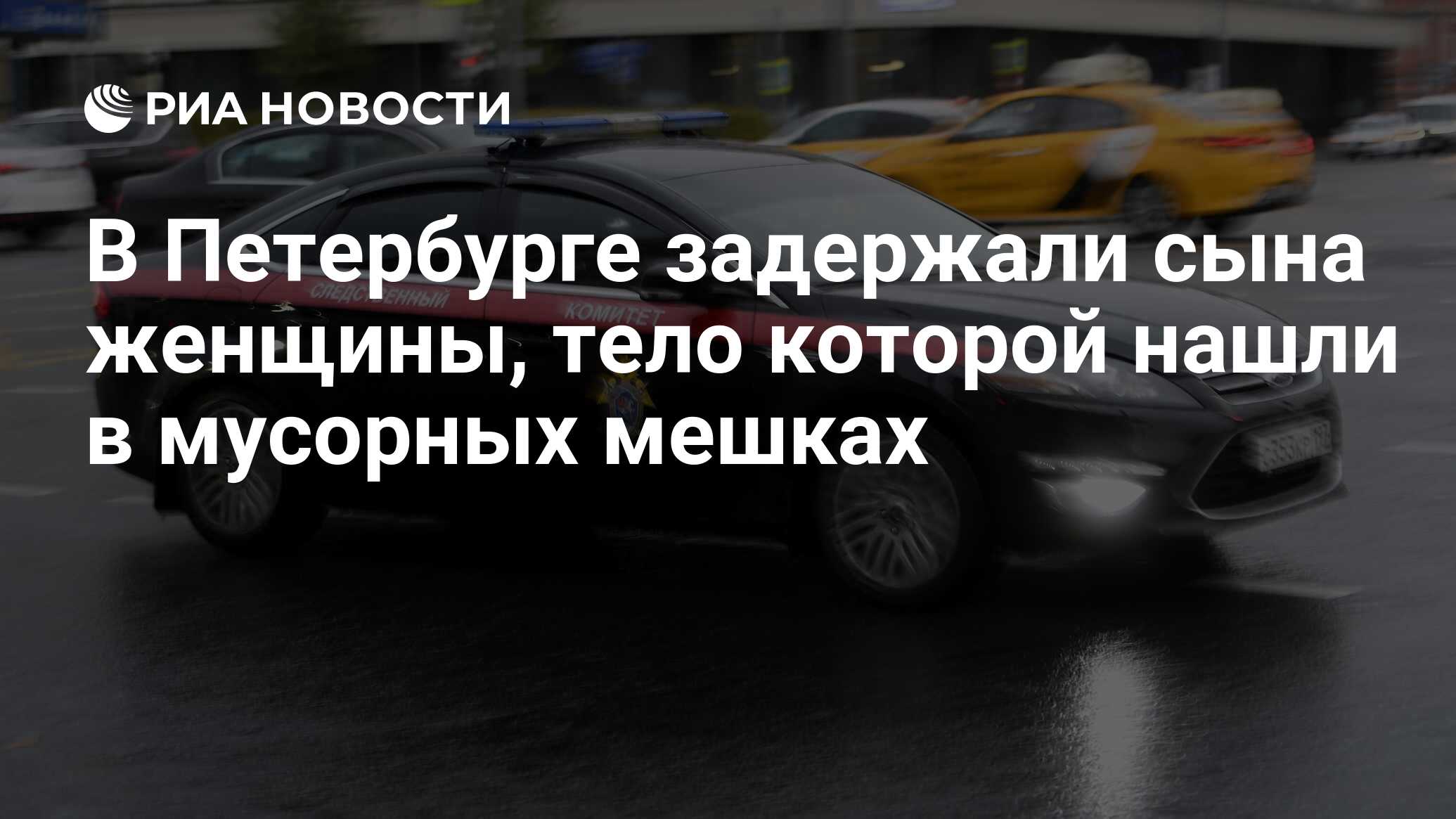 В Петербурге задержали сына женщины, тело которой нашли в мусорных мешках -  РИА Новости, 13.05.2024