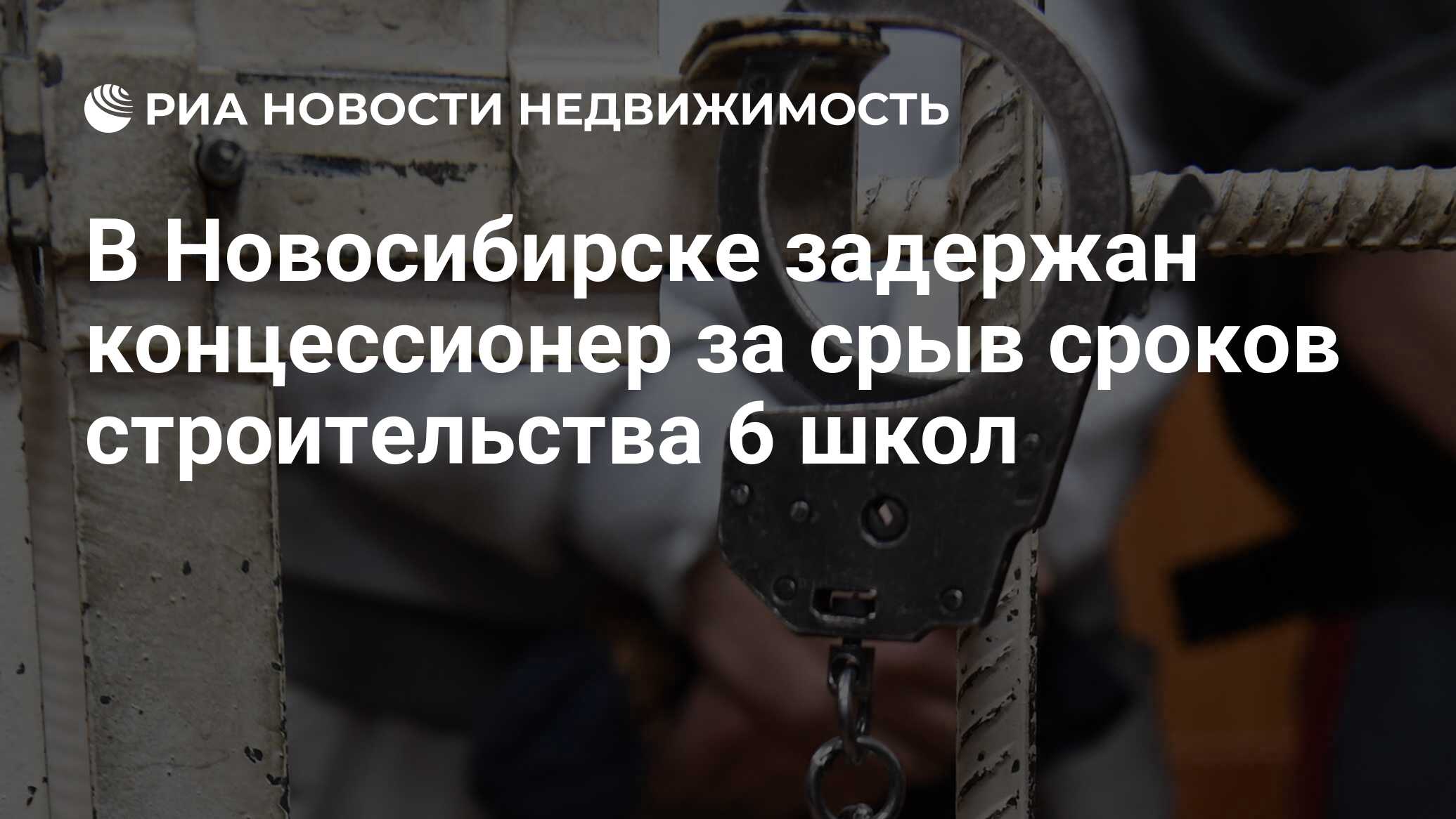 В Новосибирске задержан концессионер за срыв сроков строительства 6 школ -  Недвижимость РИА Новости, 15.05.2024