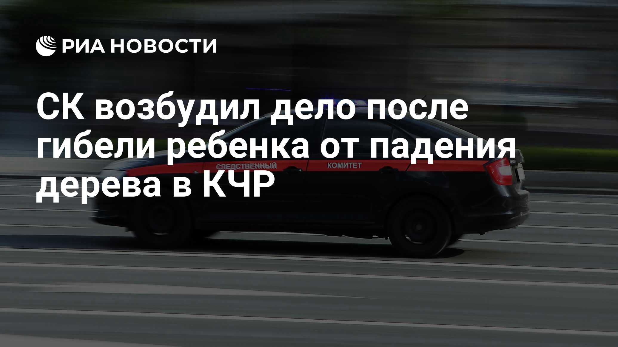 СК возбудил дело после гибели ребенка от падения дерева в КЧР - РИА  Новости, 16.05.2024