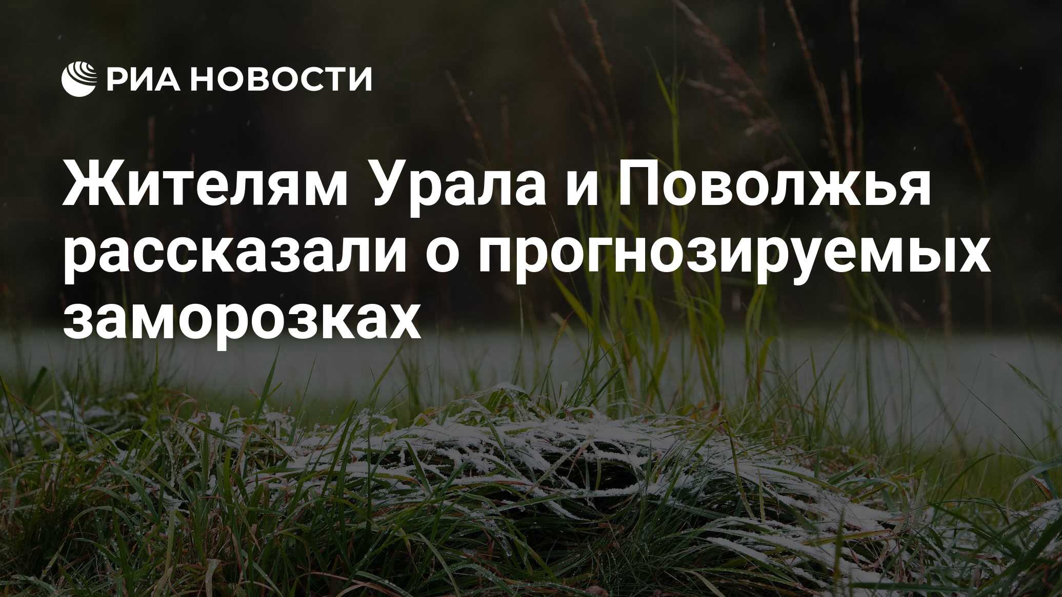 Жителям Урала и Поволжья рассказали о прогнозируемых заморозках - РИА  Новости, 18.05.2024