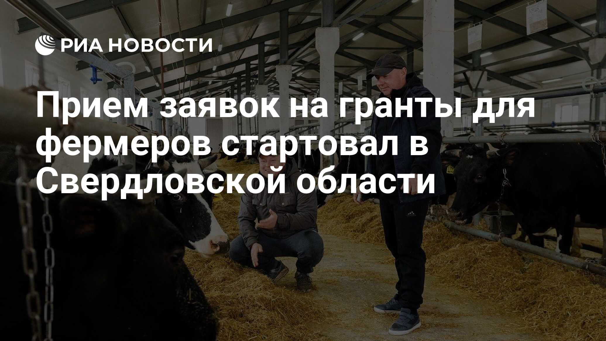 Прием заявок на гранты для фермеров стартовал в Свердловской области ...