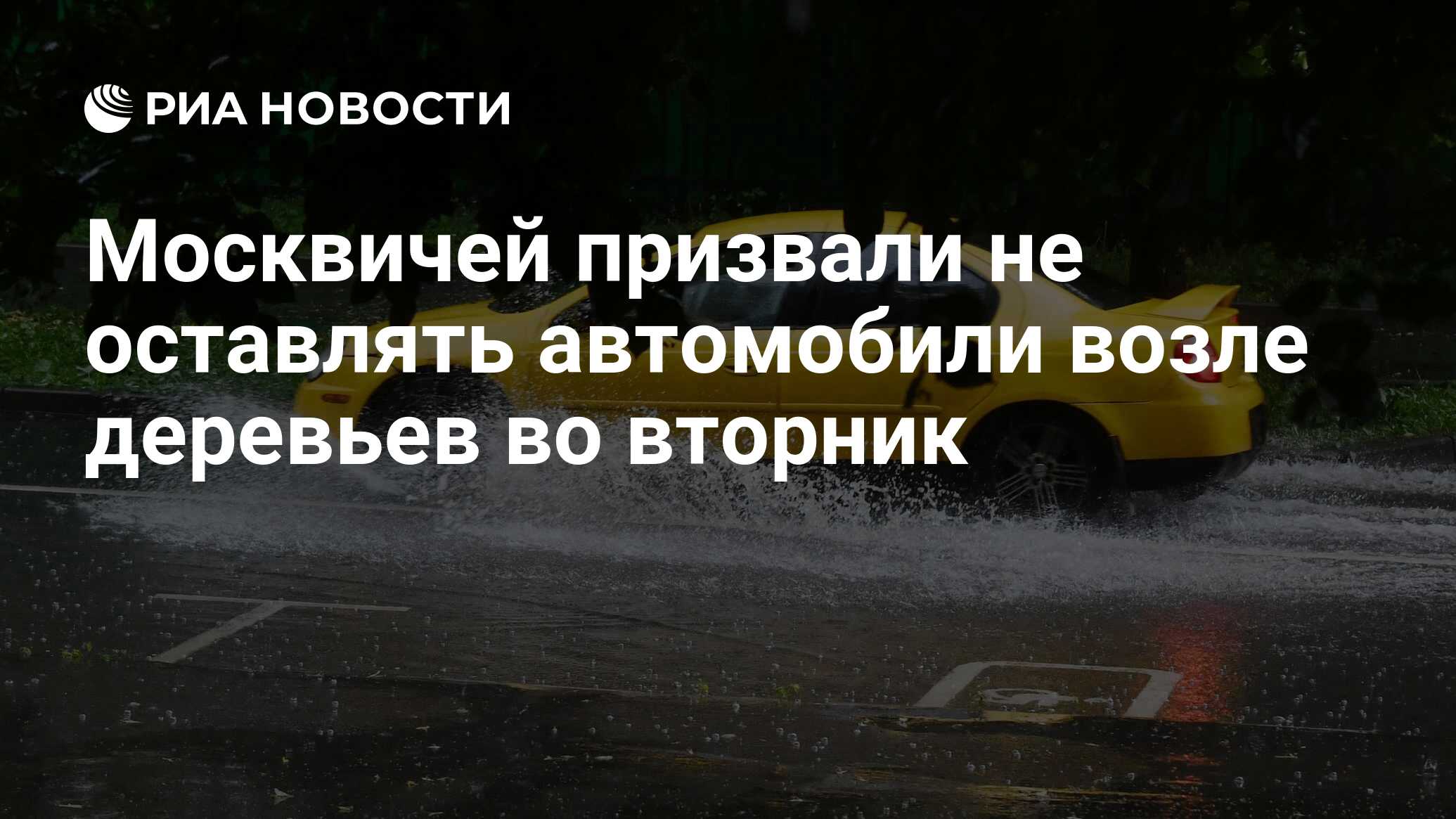 Москвичей призвали не оставлять автомобили возле деревьев во вторник - РИА  Новости, 20.05.2024