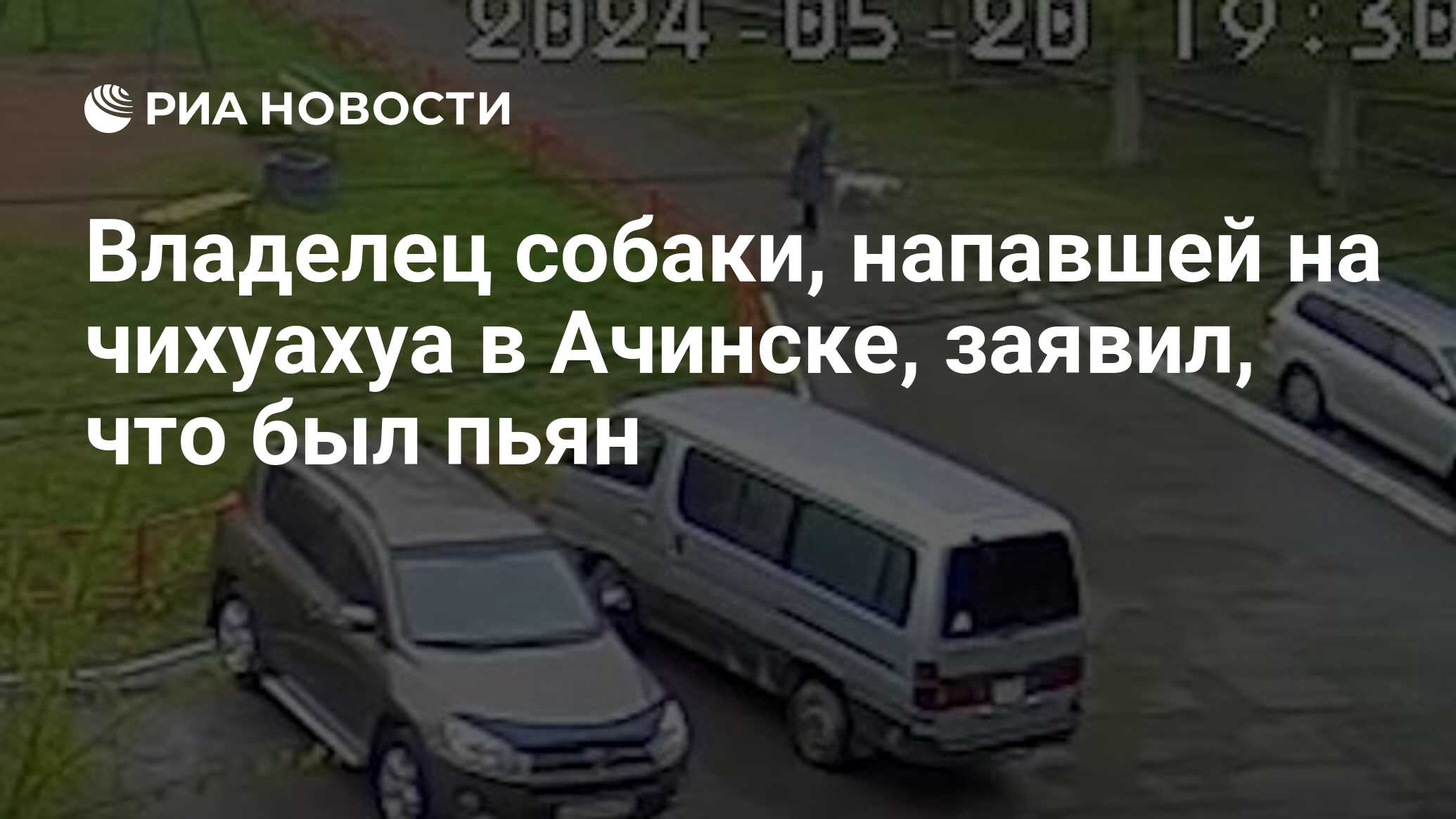 Владелец собаки, напавшей на чихуахуа в Ачинске, заявил, что был пьян - РИА  Новости, 23.05.2024