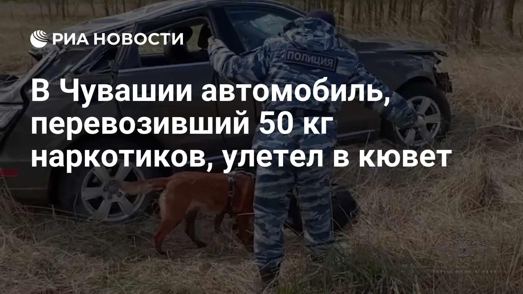 В Чувашии автомобиль, перевозивший 50 кг наркотиков, улетел в кювет - РИА  Новости, 29.05.2024