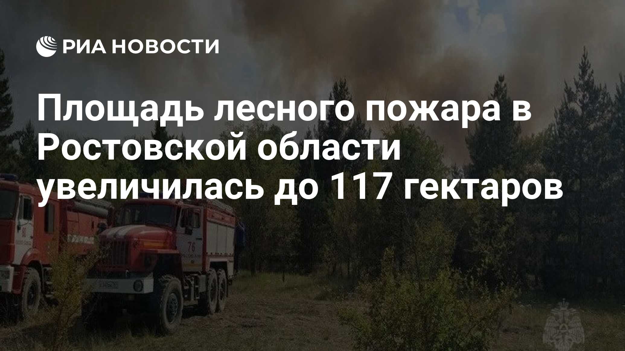 Площадь лесного пожара в Ростовской области увеличилась до 117 гектаров -  РИА Новости, 02.06.2024