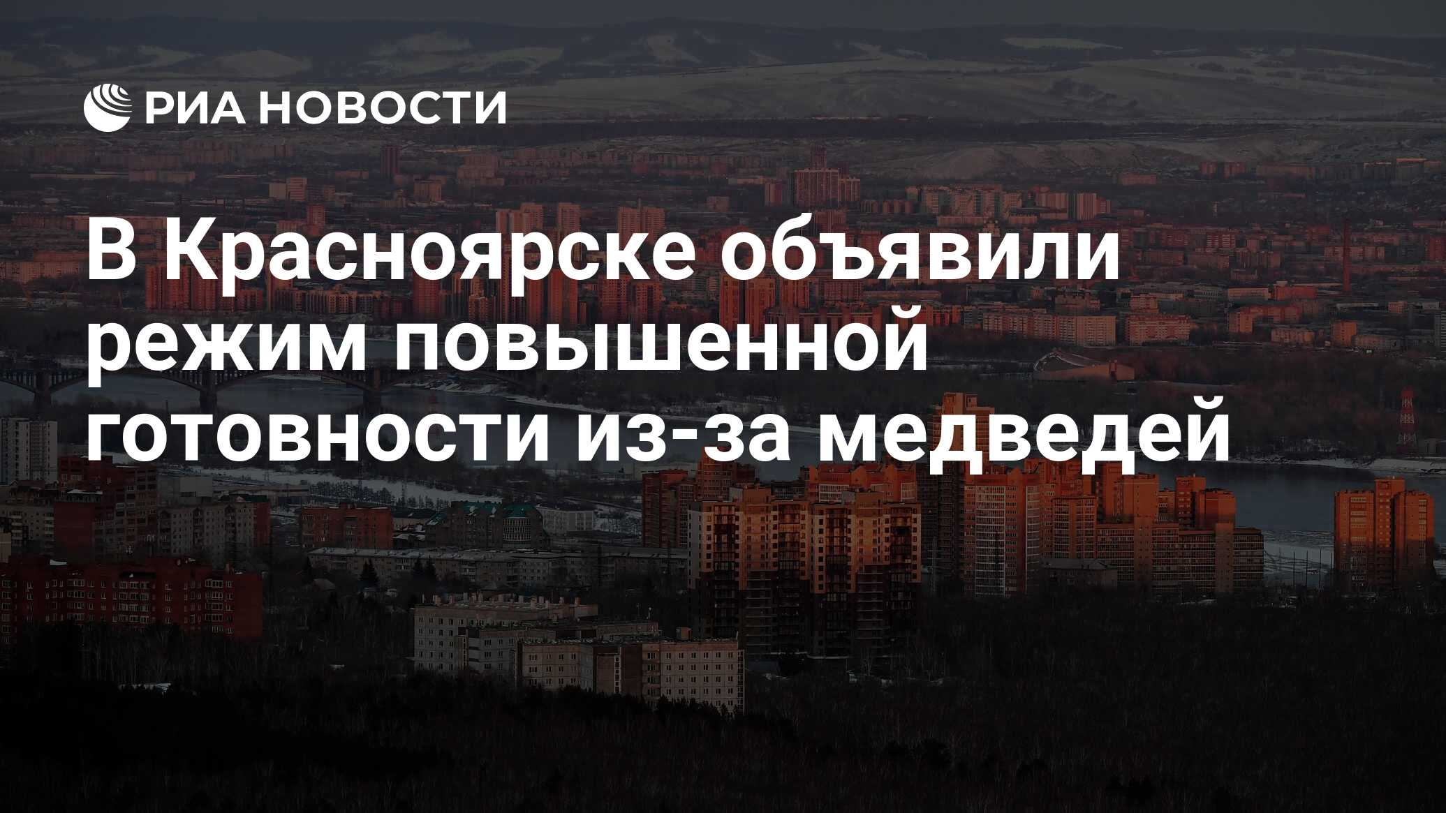 В Красноярске объявили режим повышенной готовности из-за медведей - РИА  Новости, 11.06.2024