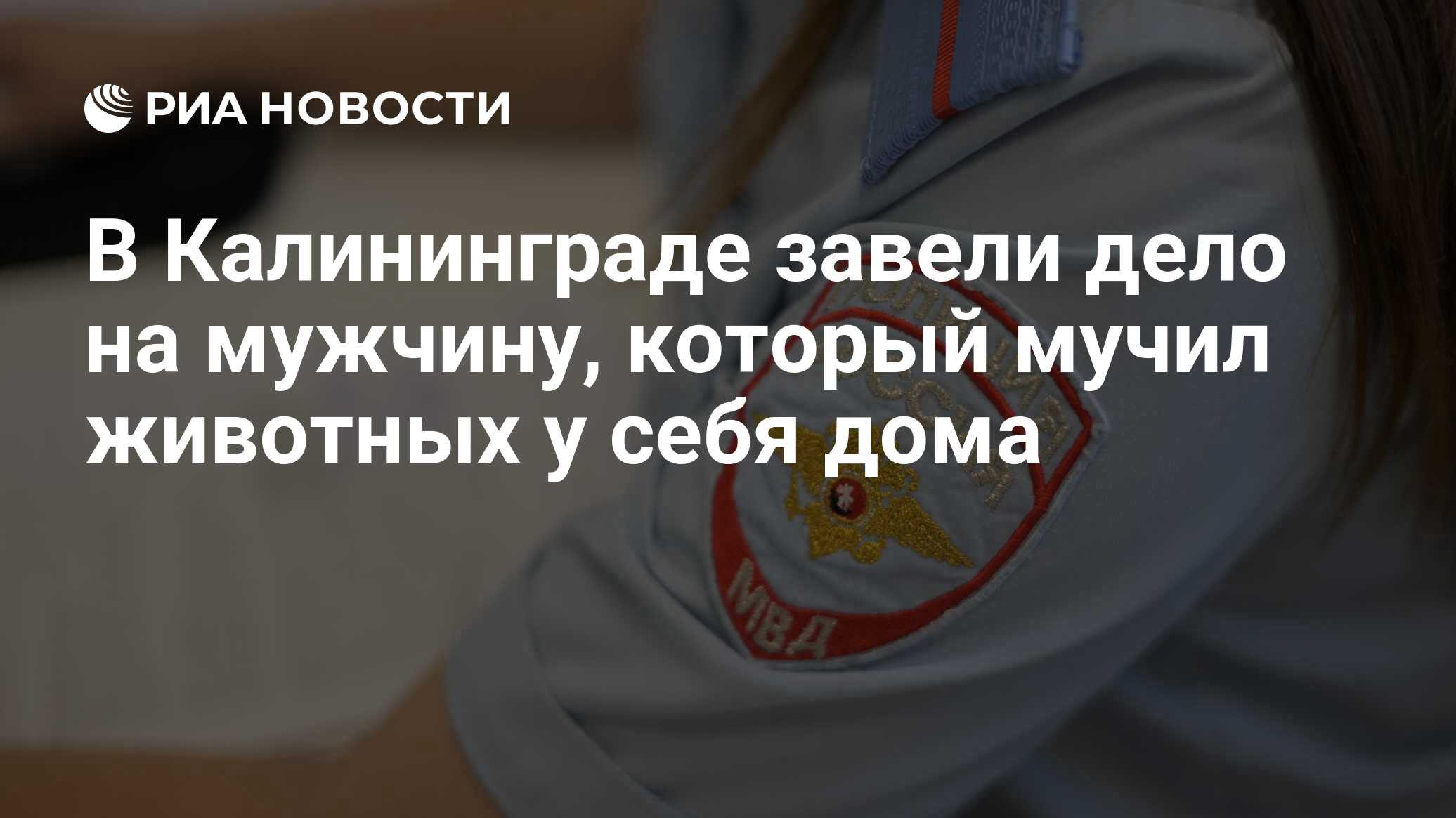 В Калининграде завели дело на мужчину, который мучил животных у себя дома -  РИА Новости, 13.06.2024