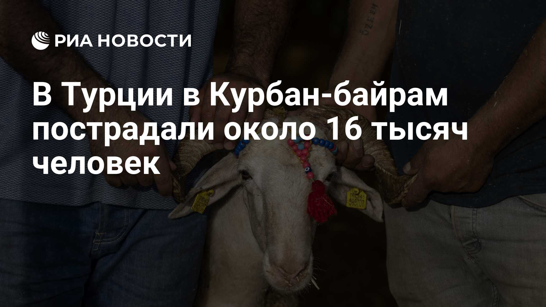 В Турции в Курбан-байрам пострадали около 16 тысяч человек - РИА Новости,  17.06.2024