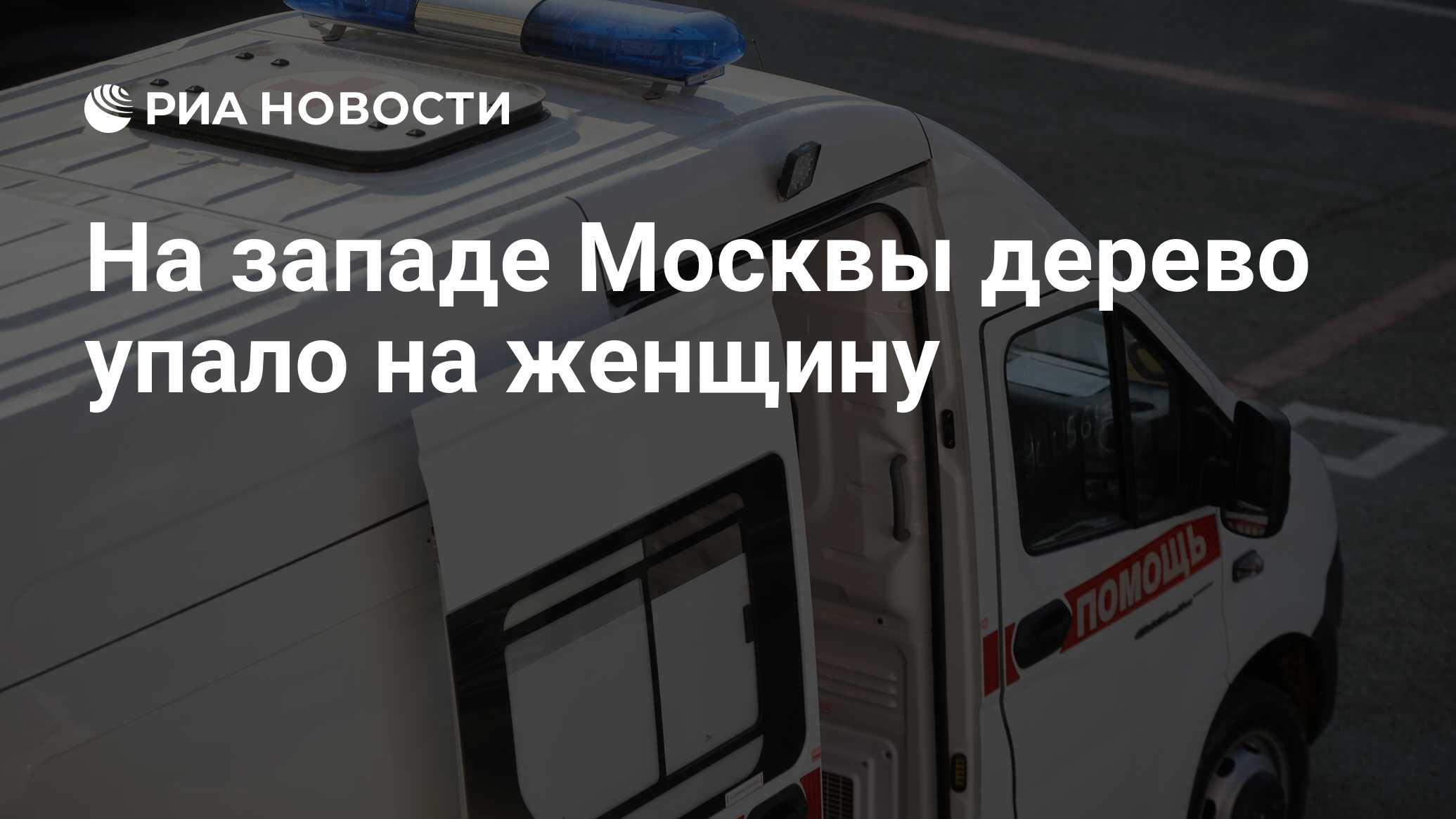 На западе Москвы дерево упало на женщину - РИА Новости, 18.06.2024