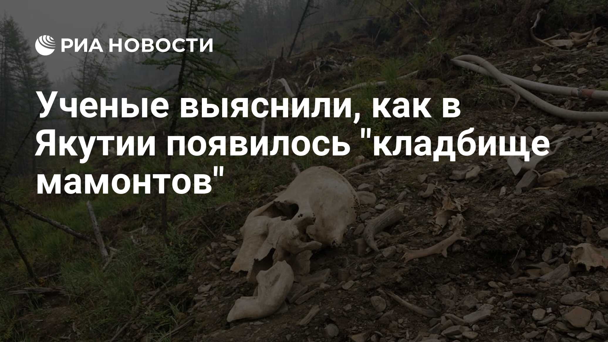 Ученые выяснили, как в Якутии появилось 