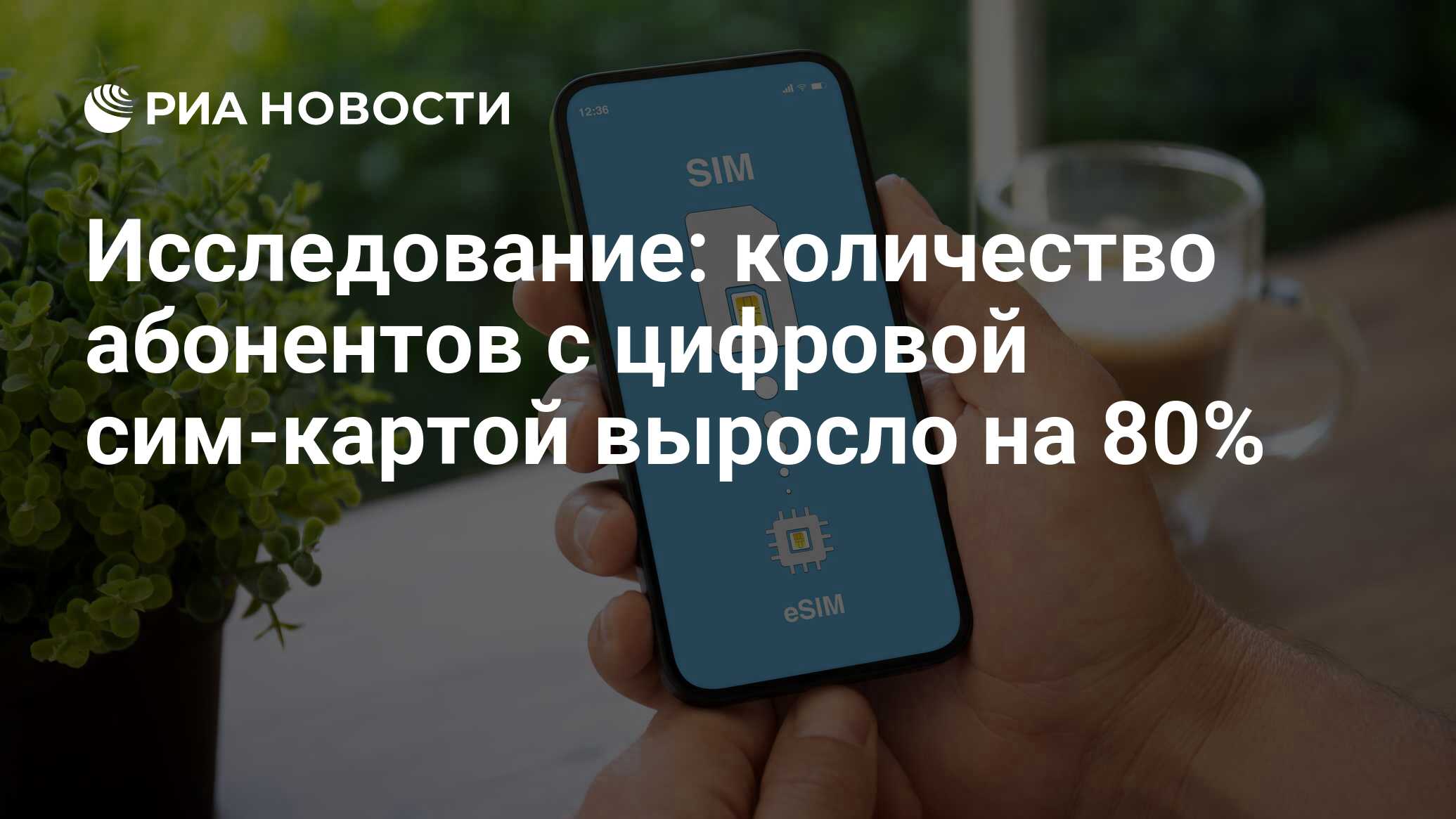 Исследование: количество абонентов с цифровой сим-картой выросло на 80% - РИА Новости, 19.06.2024