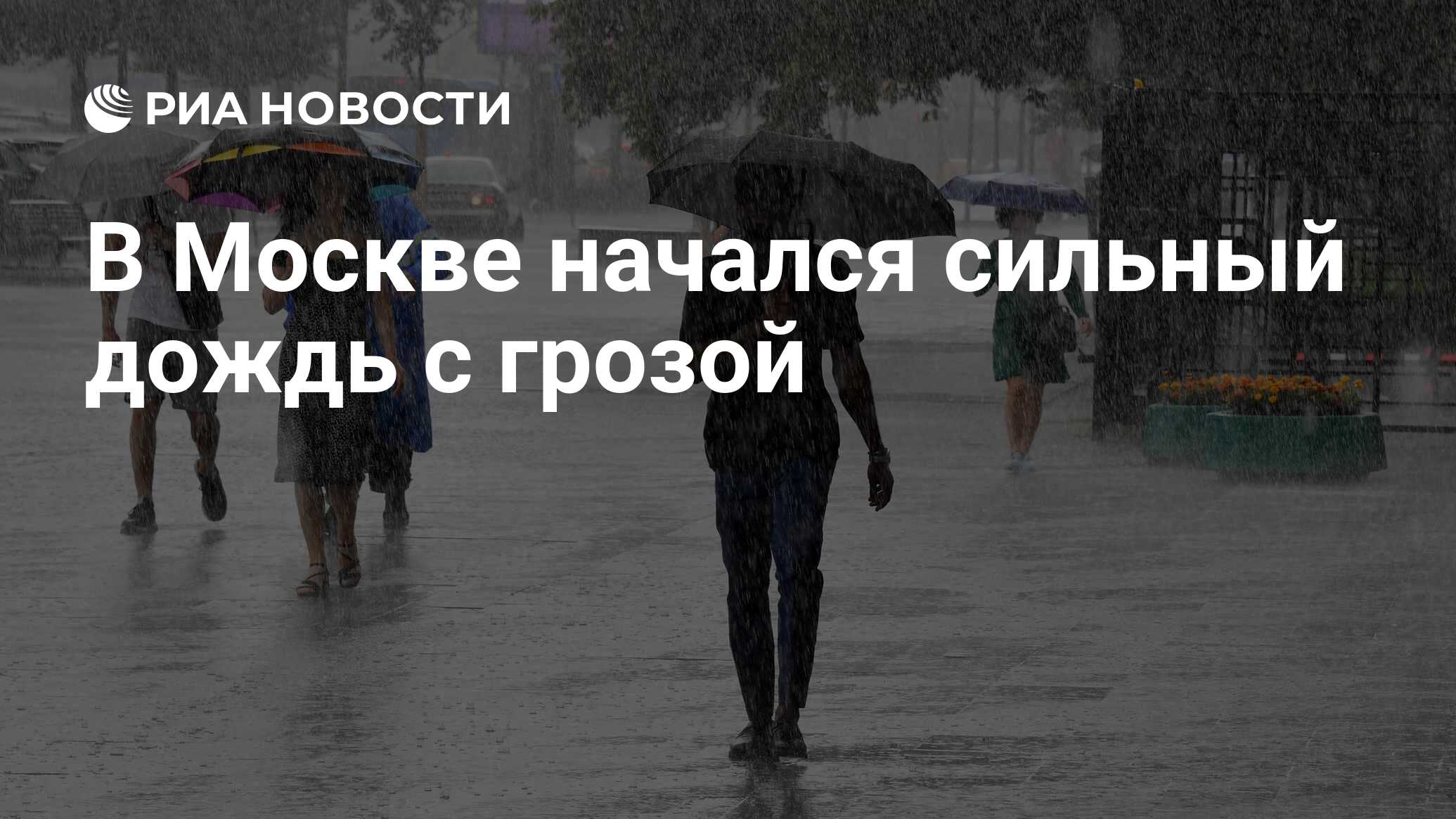 В Москве начался сильный дождь с грозой - РИА Новости, 20.06.2024