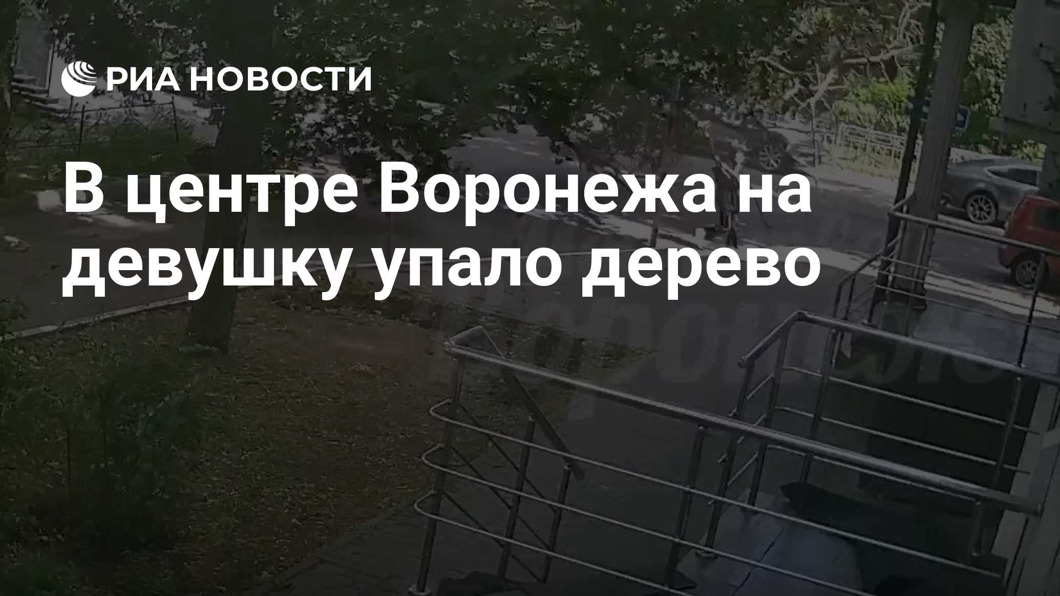 В центре Воронежа на девушку упало дерево - РИА Новости, 21.06.2024