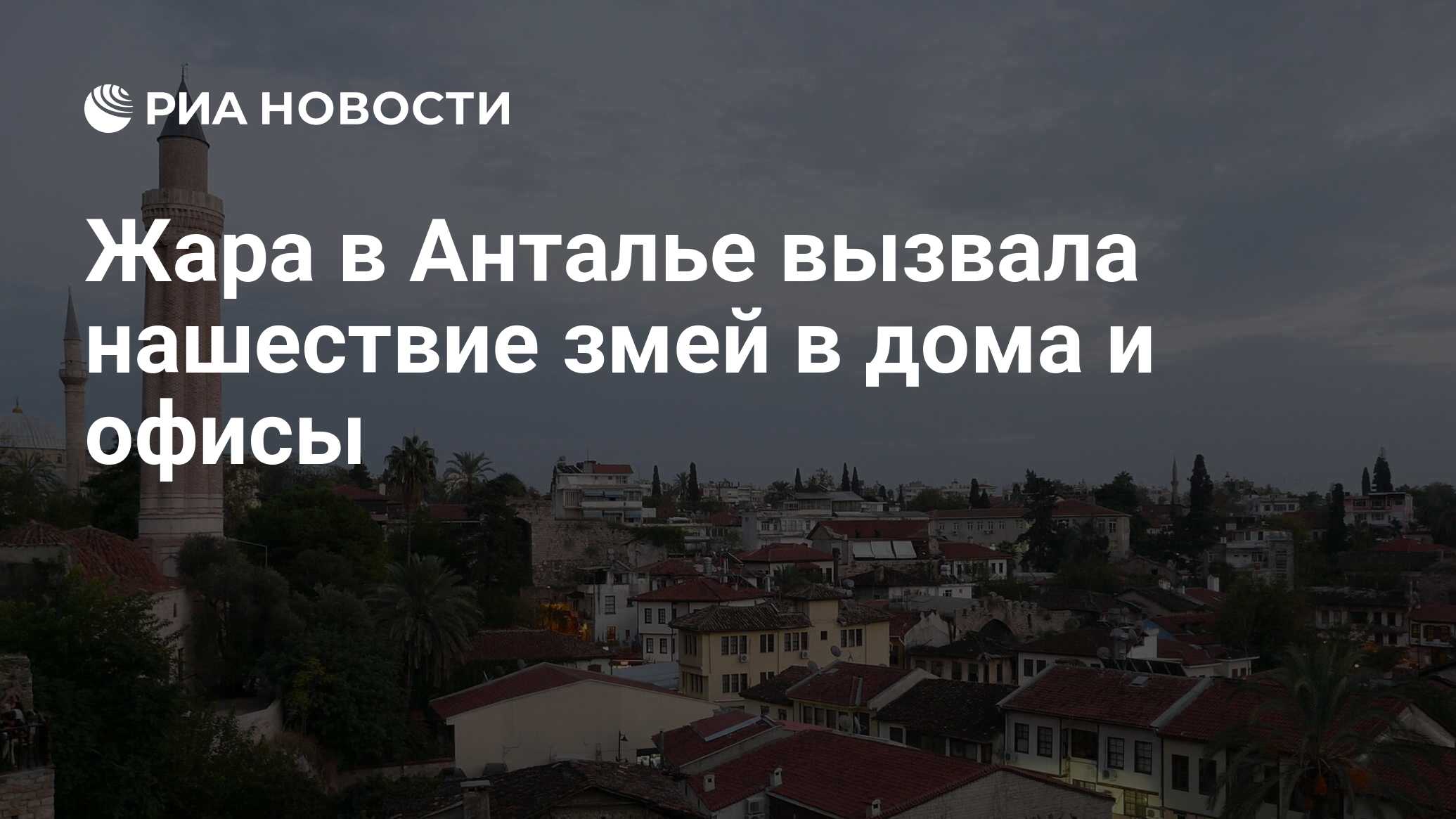 Жара в Анталье вызвала нашествие змей в дома и офисы - РИА Новости,  22.06.2024