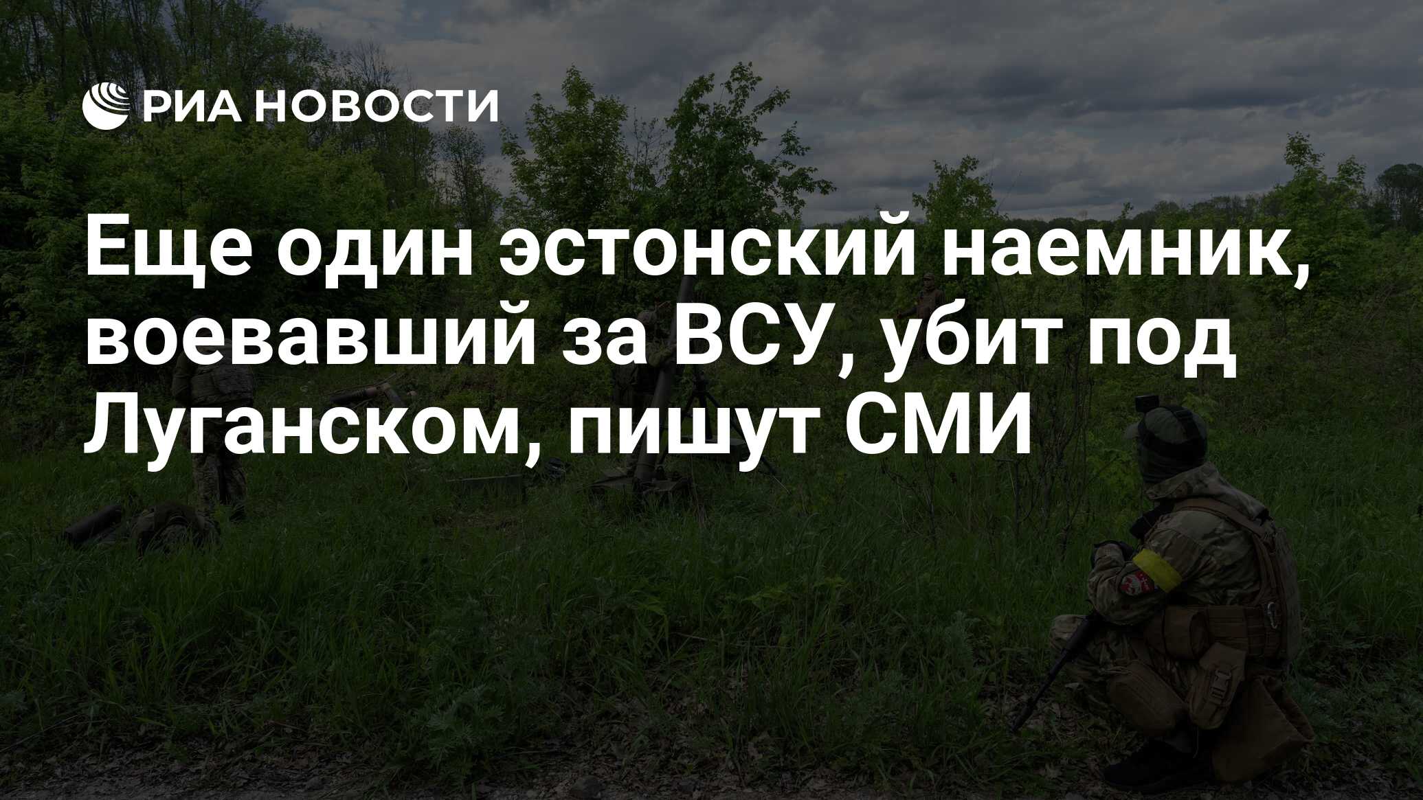 Еще один эстонский наемник, воевавший за ВСУ, убит под Луганском, пишут СМИ  - РИА Новости, 24.06.2024