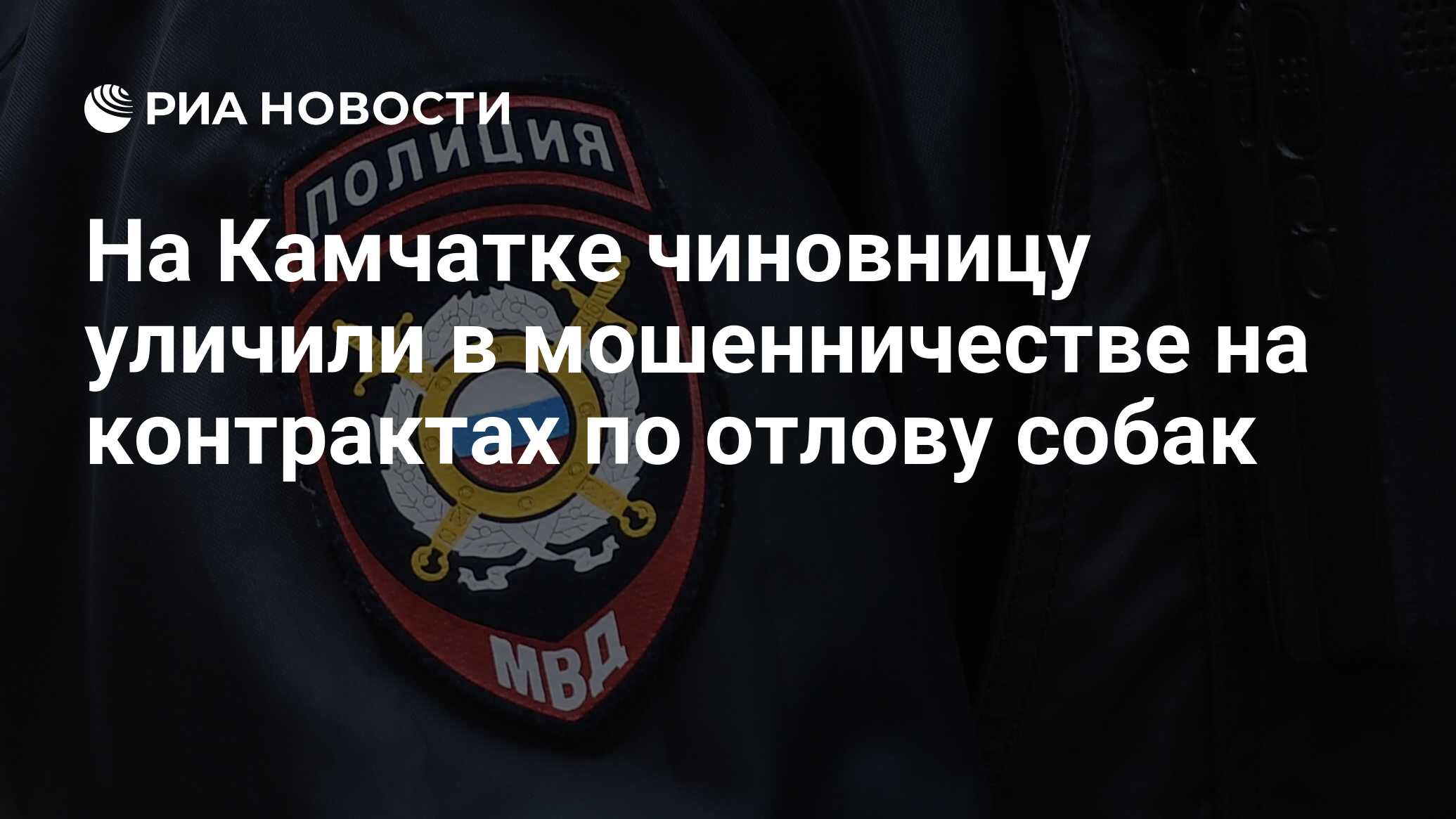 На Камчатке чиновницу уличили в мошенничестве на контрактах по отлову собак  - РИА Новости, 25.06.2024