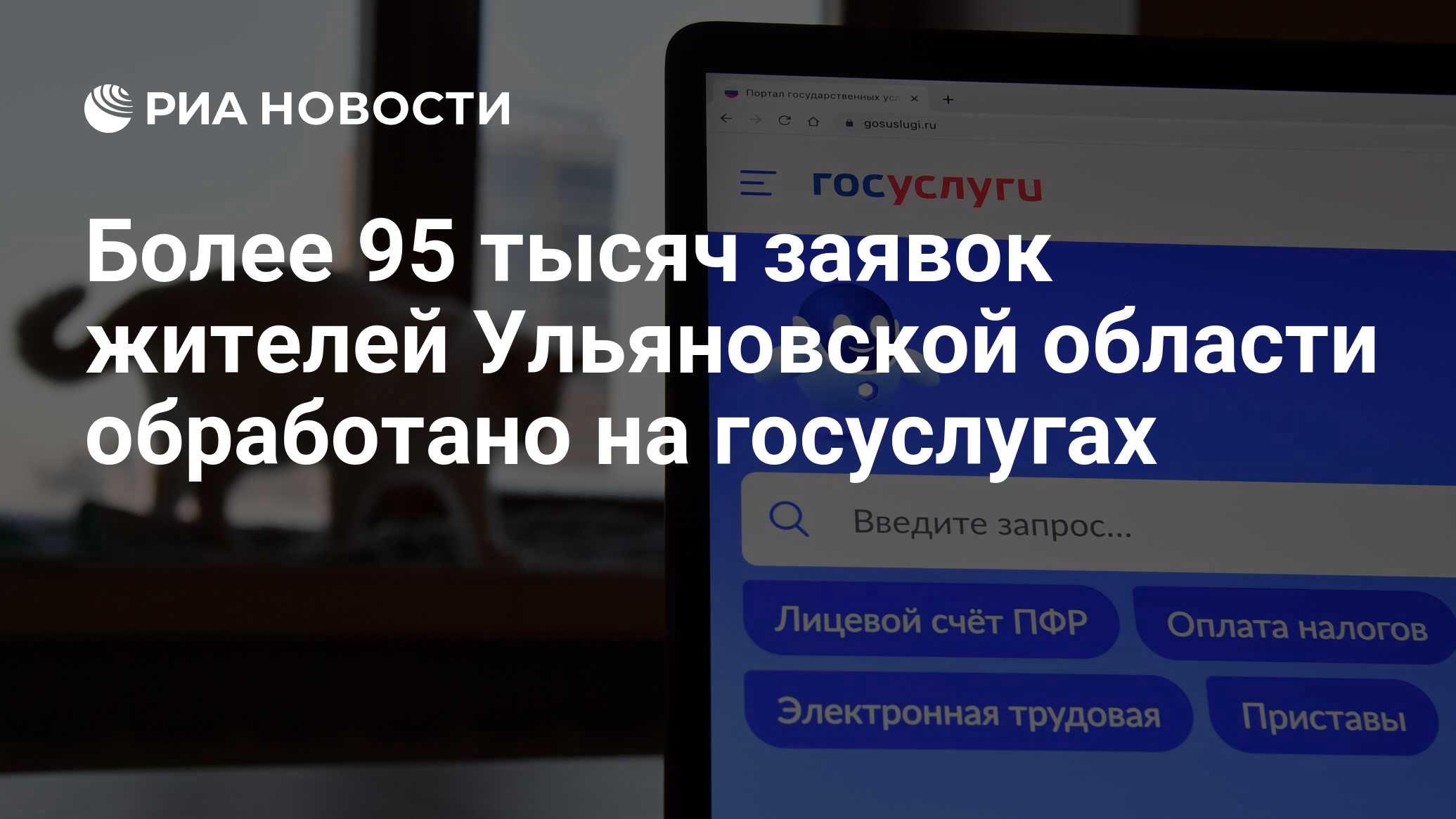 Более 95 тысяч заявок жителей Ульяновской области обработано на госуслугах  - РИА Новости, 25.06.2024