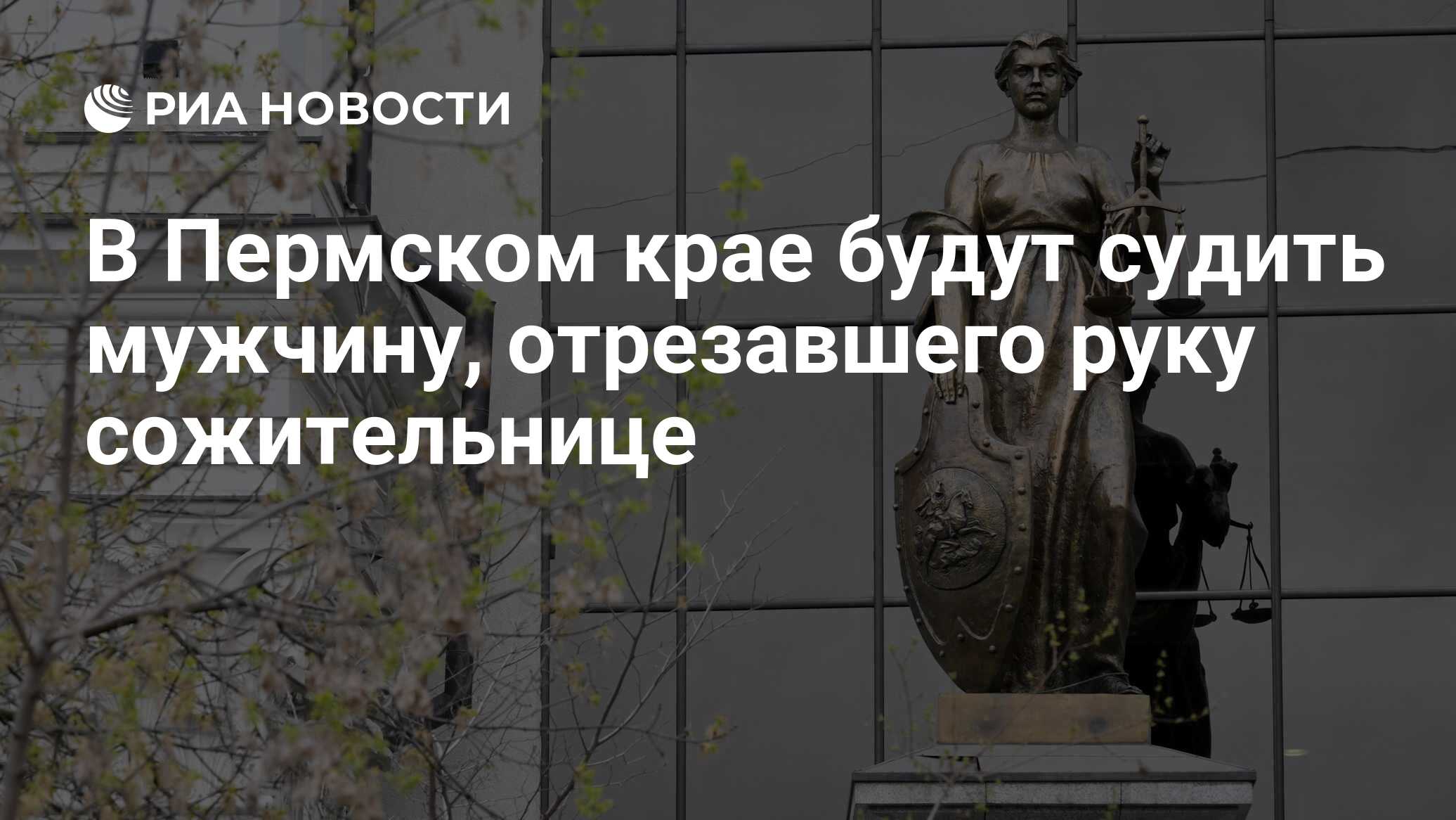 В Пермском крае будут судить мужчину, отрезавшего руку сожительнице - РИА  Новости, 25.06.2024