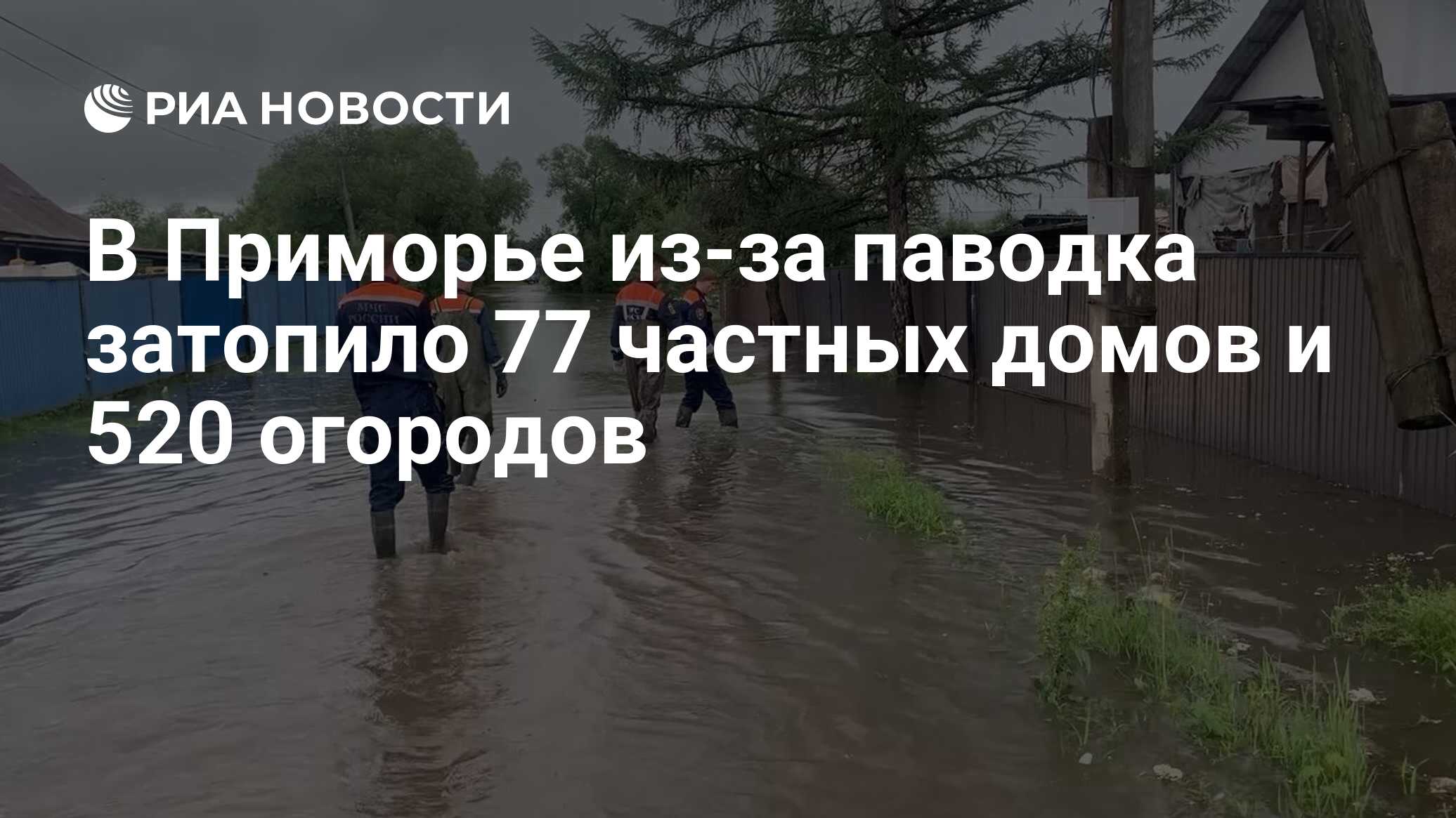 В Приморье из-за паводка затопило 77 частных домов и 520 огородов - РИА  Новости, 26.06.2024