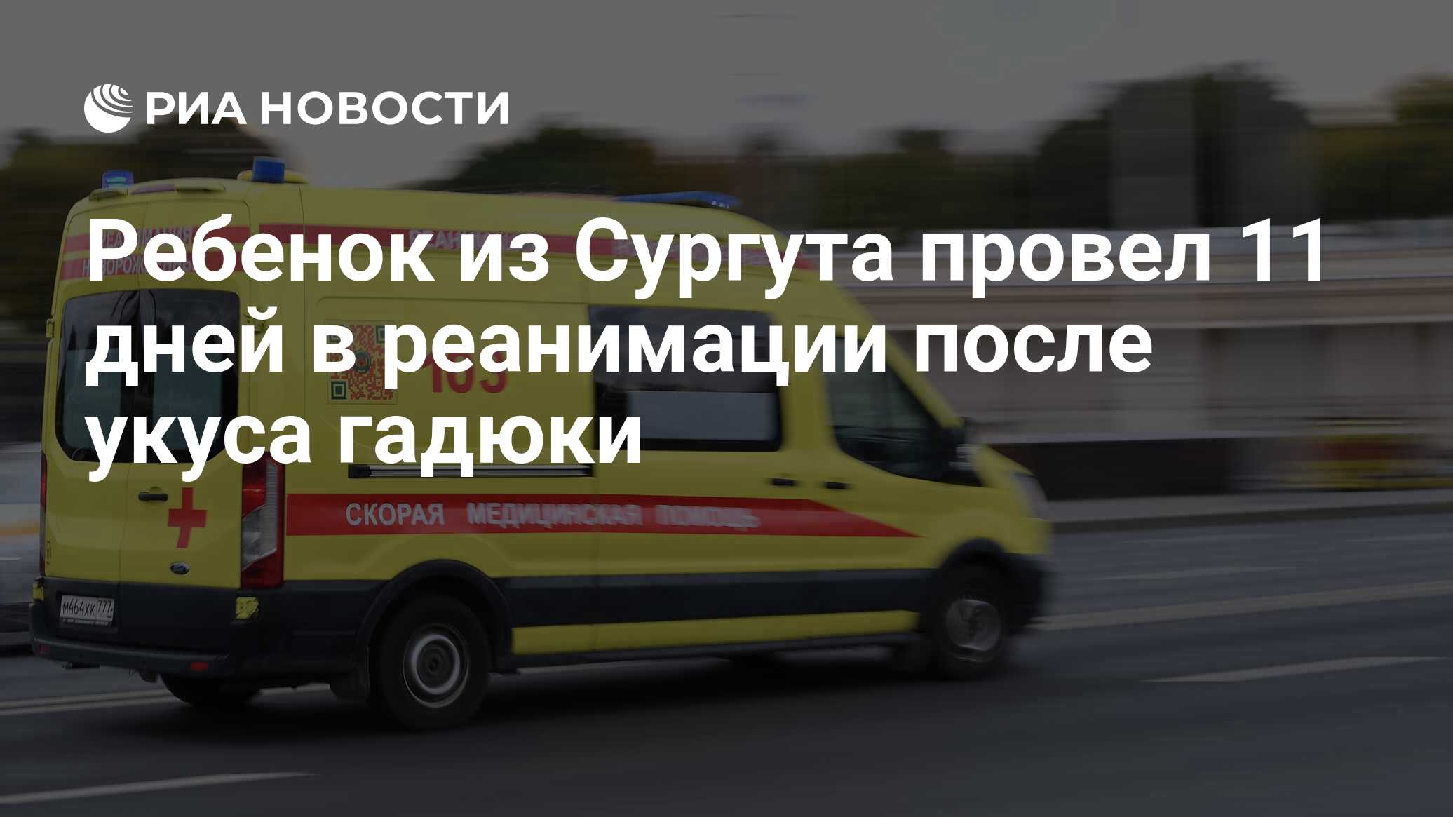 Ребенок из Сургута провел 11 дней в реанимации после укуса гадюки - РИА  Новости, 27.06.2024