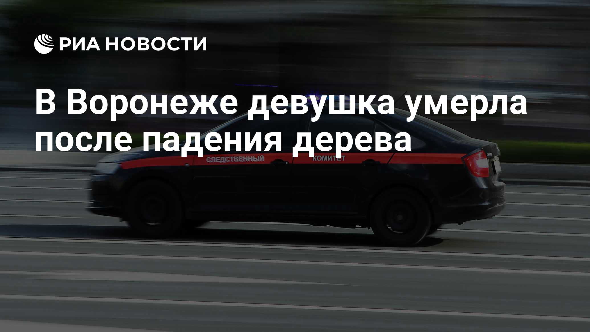 В Воронеже девушка умерла после падения дерева - РИА Новости, 27.06.2024