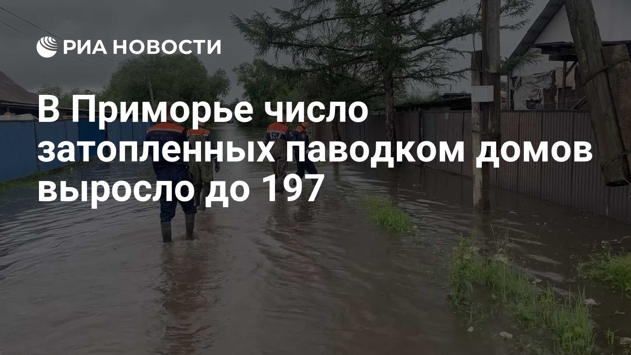 В Приморье число затопленных паводком домов выросло до 197 - РИА Новости,  28.06.2024