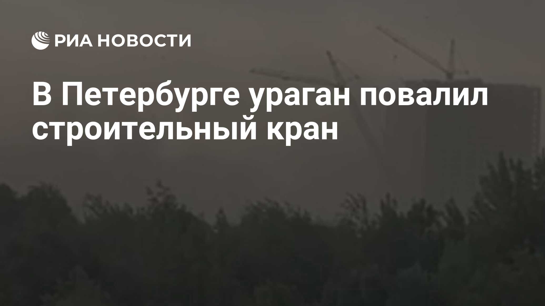 Поваленные деревья в санкт петербург. Ураган в спб 01. 07 24. 07 24. Ураган в петербурге.