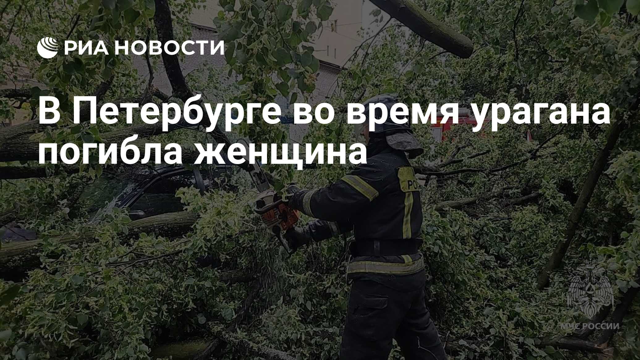 В Петербурге во время урагана погибла женщина - РИА Новости, 02.07.2024