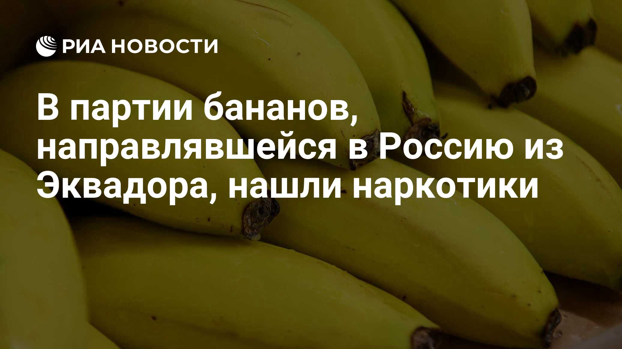 В партии бананов, направлявшейся в Россию из Эквадора, нашли наркотики -  РИА Новости, 03.07.2024