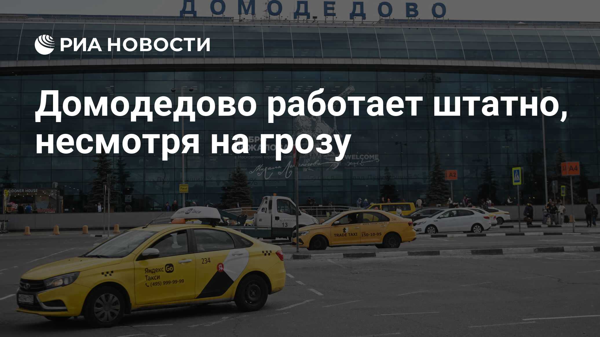 Анализы домодедово