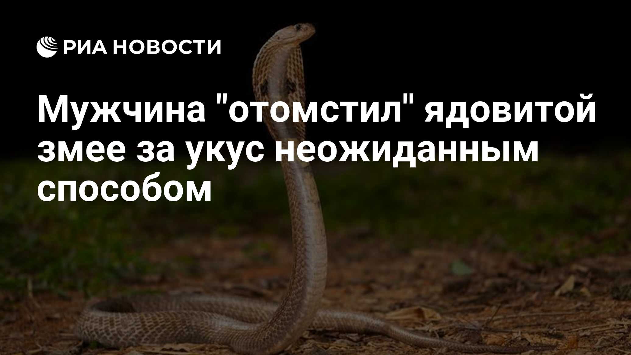 Мужчина "отомстил" ядовитой змее за укус неожиданным способом - РИА ...