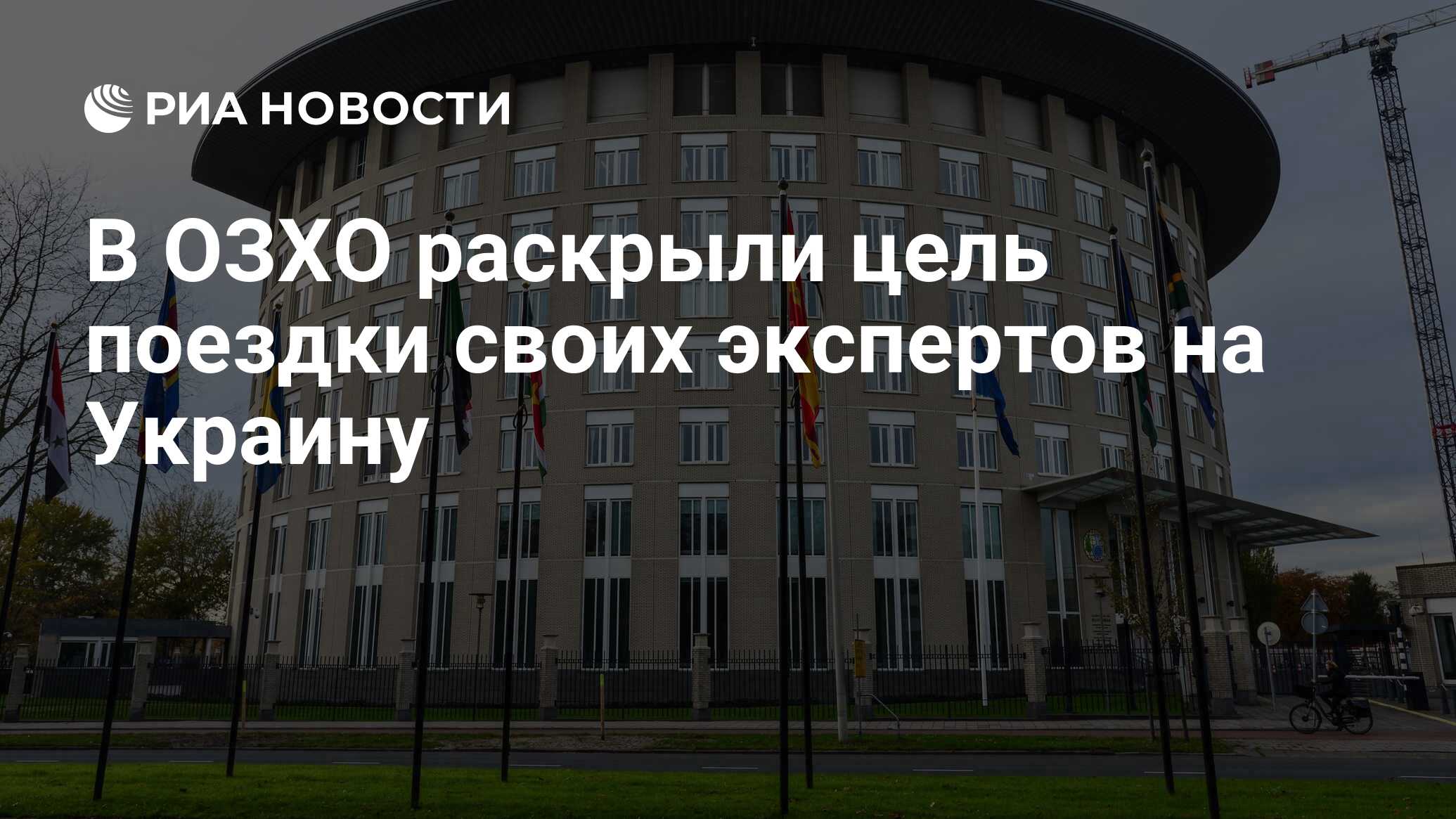 В ОЗХО раскрыли цель поездки своих экспертов на Украину - РИА Новости,  09.07.2024