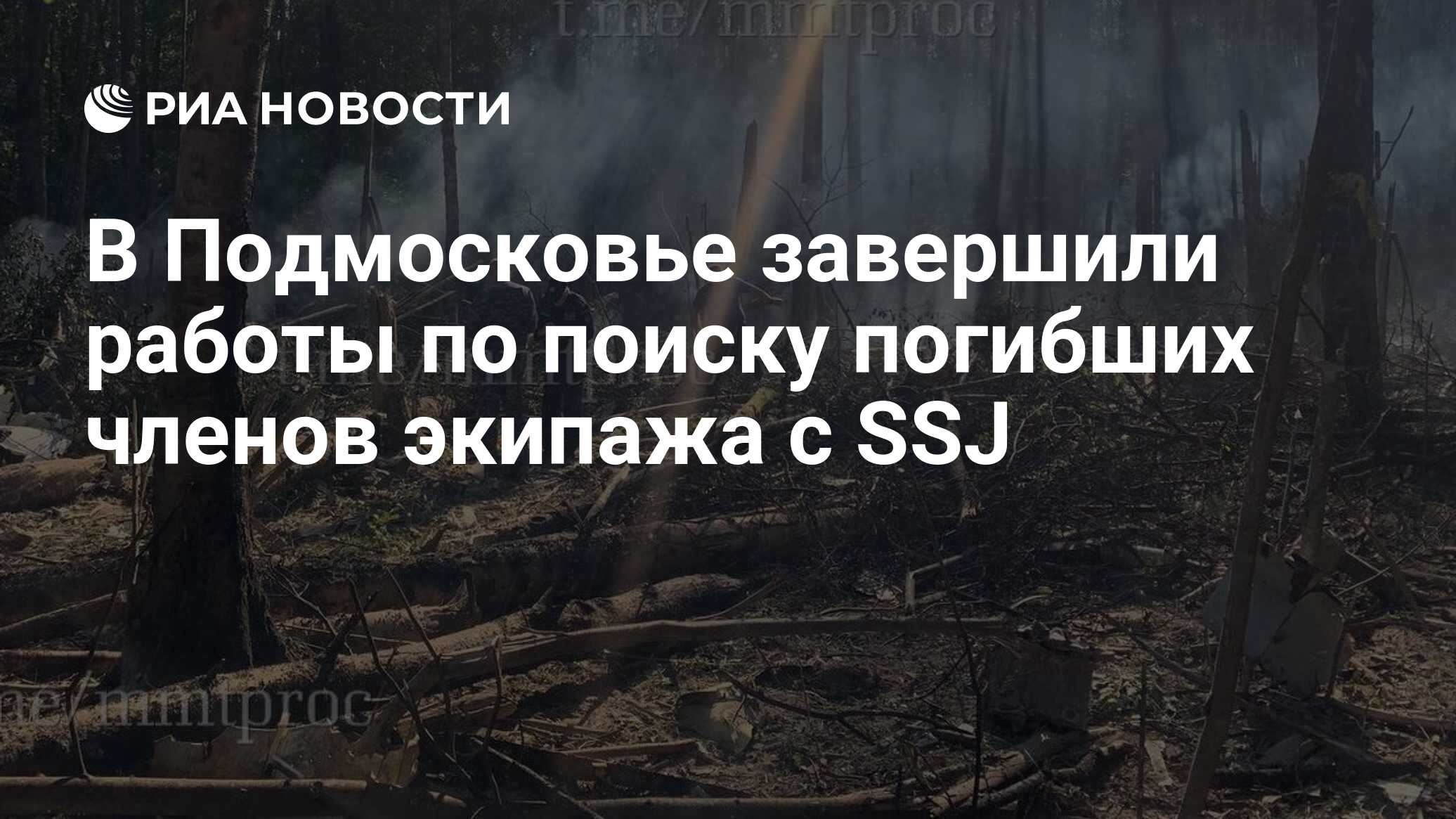 В Подмосковье завершили работы по поиску погибших членов экипажа с SSJ -  РИА Новости, 15.07.2024