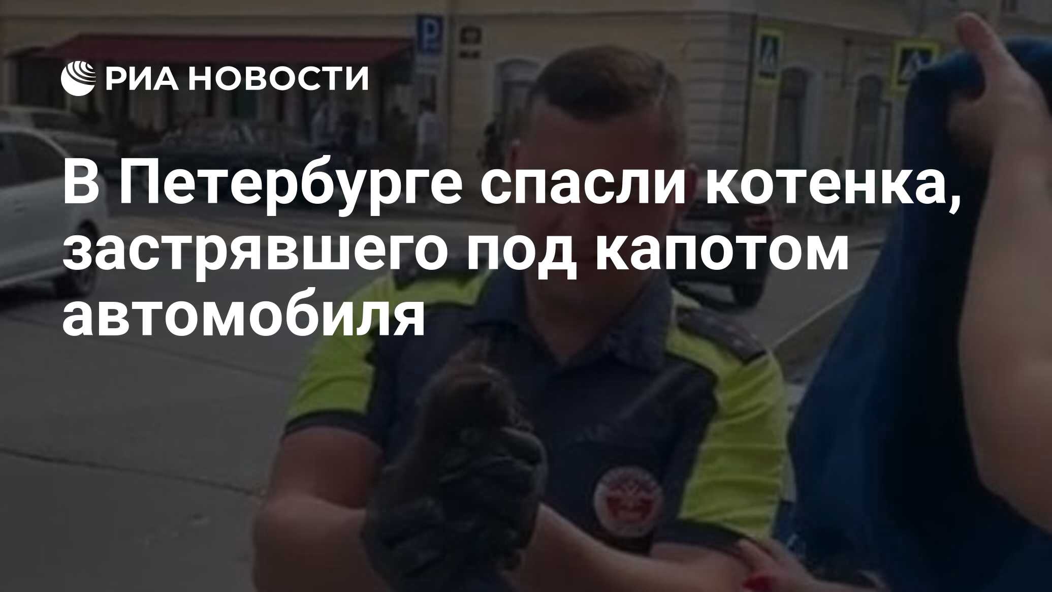 В <b>Петербурге</b> <b>спасли</b> котенка, застрявшего под капотом автомобиля.