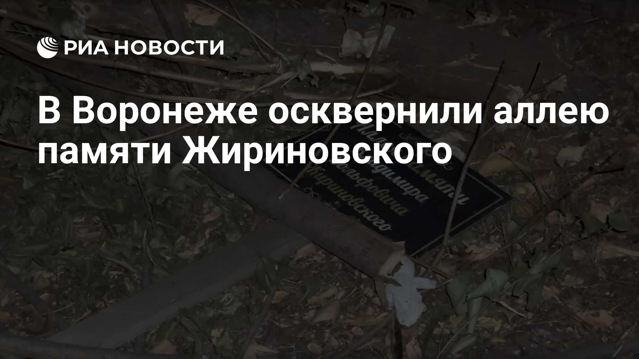 Офис жириновского в москве. Улица жириновского в москве. Аллея памяти призыва в новосибирске. Аллея жириновского воронеж где. Личности жириновского.