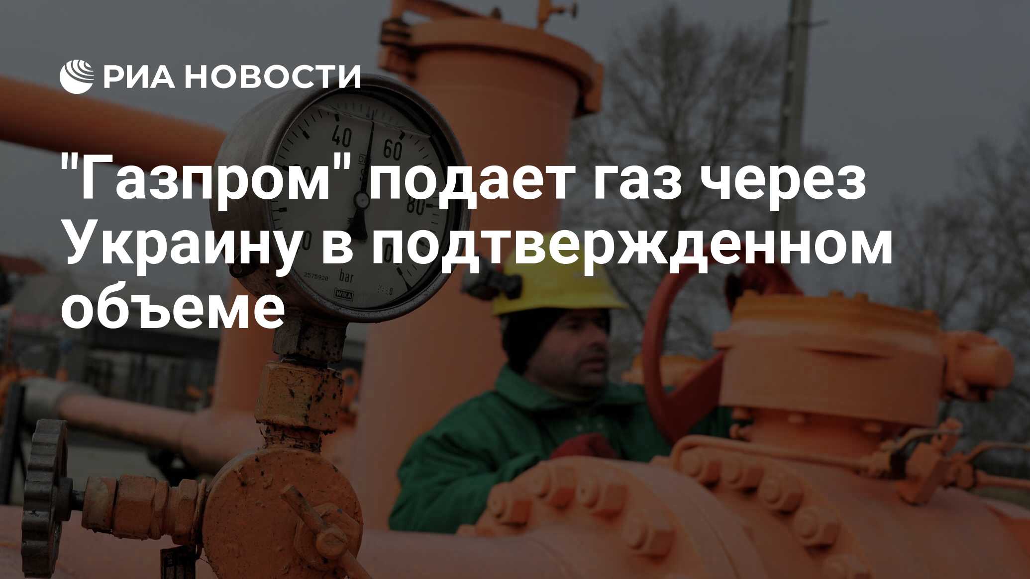 Гис суджа сегодня. Гис суджа сегодня