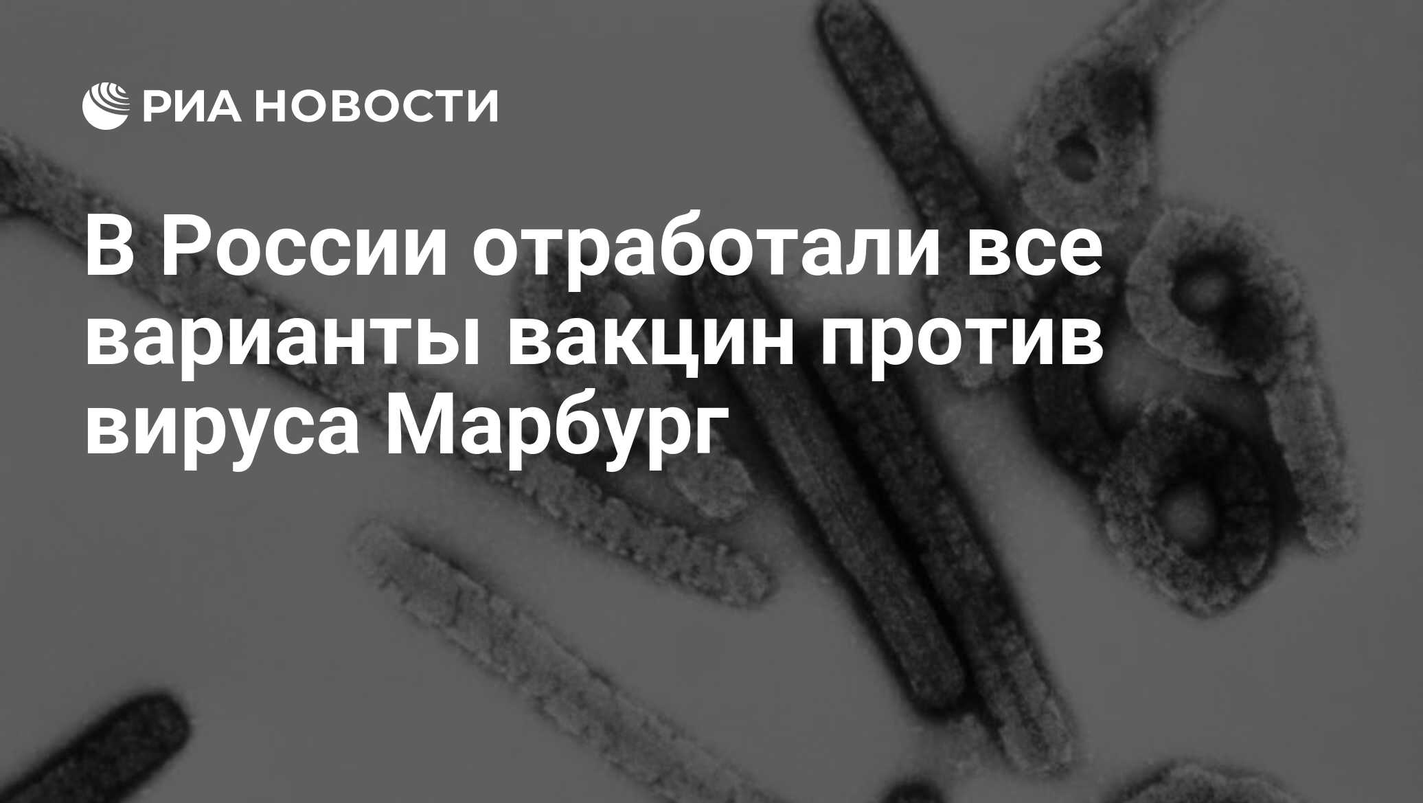 В России отработали все варианты вакцин против вируса Марбург - РИА ...