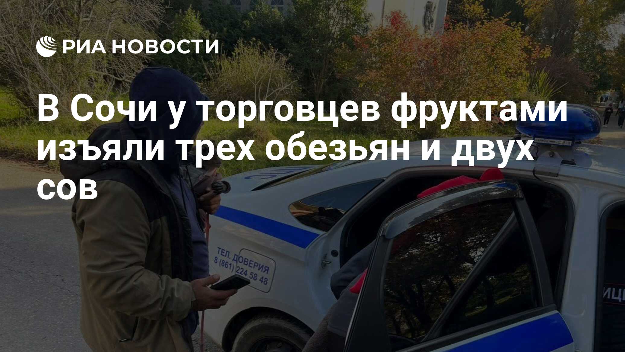 В Сочи у торговцев фруктами изъяли трех обезьян и двух сов