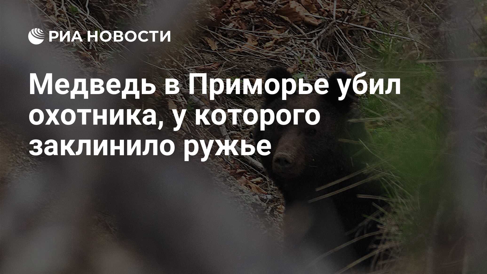 Самый большой убитый медведь