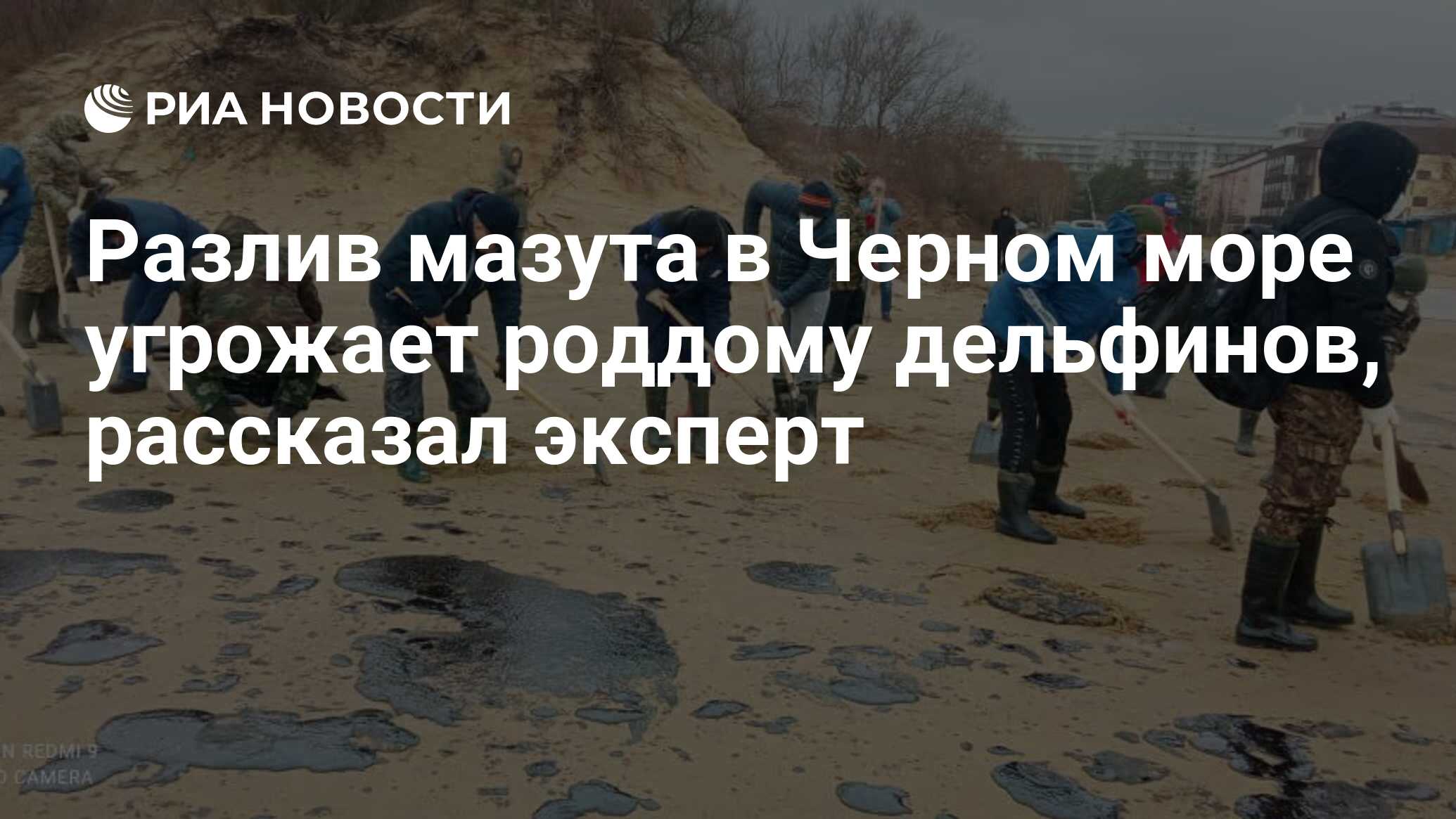 Разлив мазута в Черном море угрожает роддому дельфинов, рассказал ...