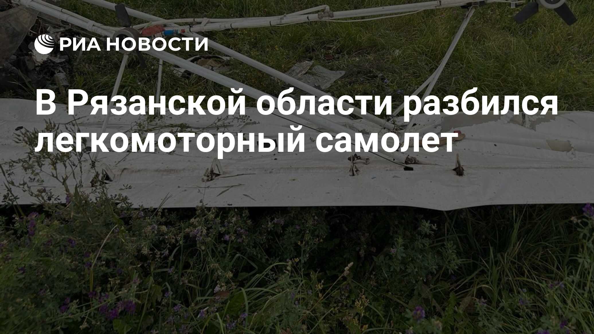 ria.ru